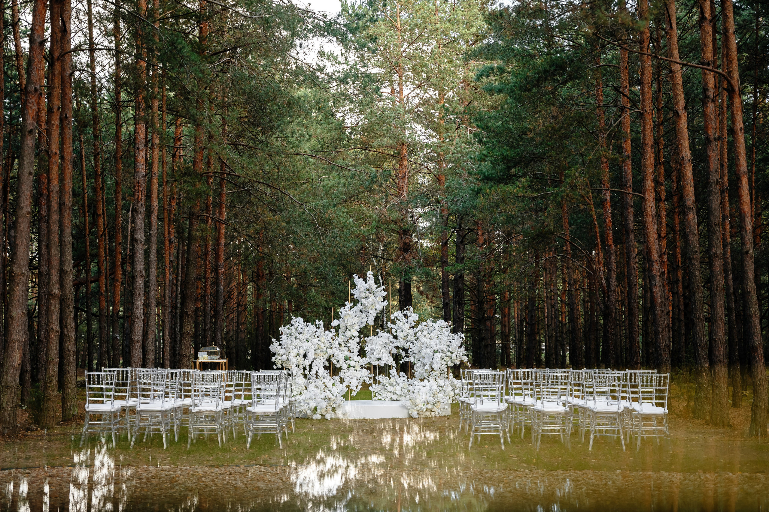 Драник и Сметанка. Свадебный Фотограф Минск || Фото и Видеосъёмка Минск || Другие города