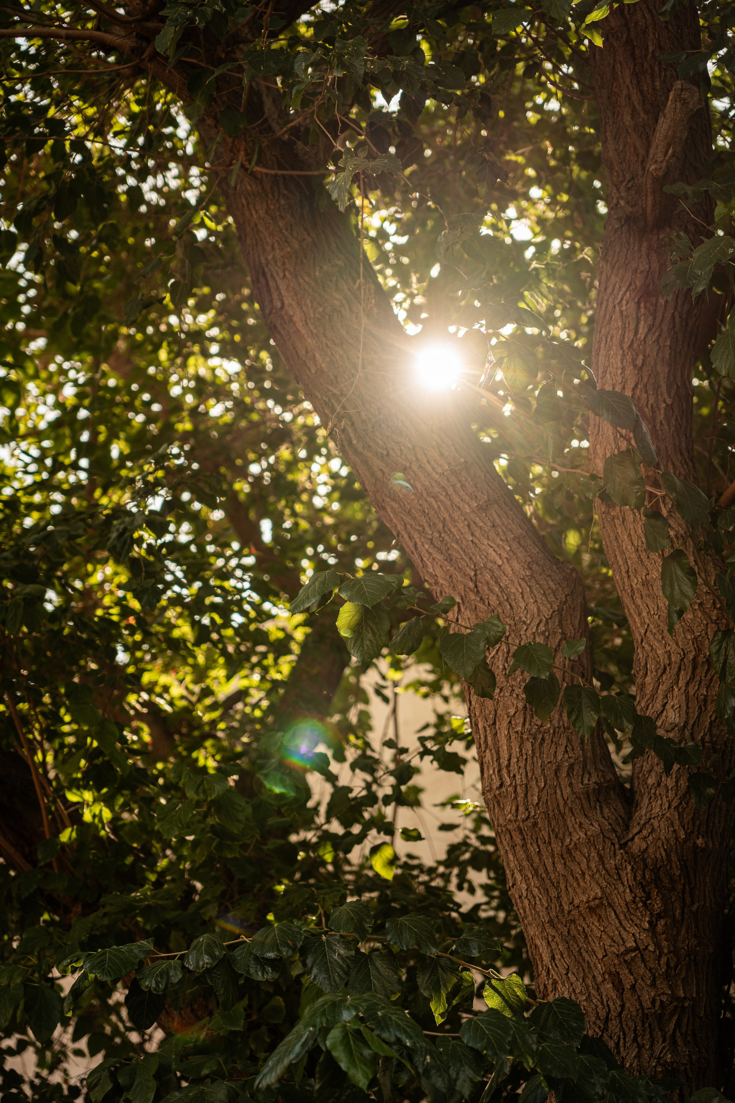 Марокко. Илья Варин — Фотограф Москва, Тверь