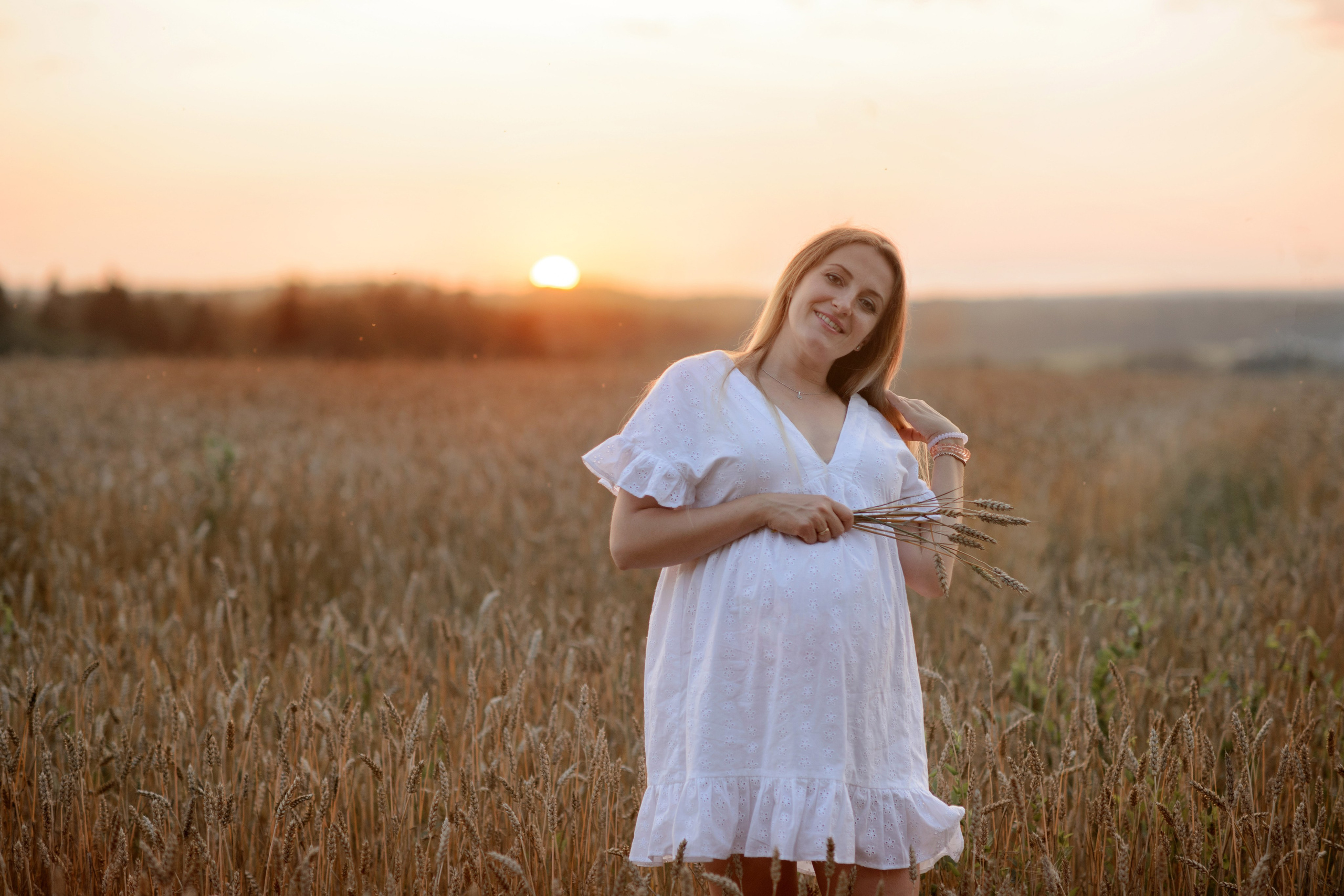 Photo shoot, a pregnant woman in a wheat field at sunset