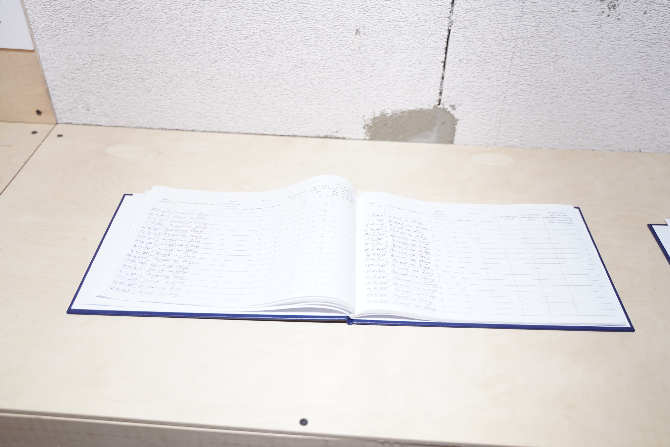 Полуденное, групповая выставка, 26.09-10.10, пространство «Союз», Тула. Лера Круглова