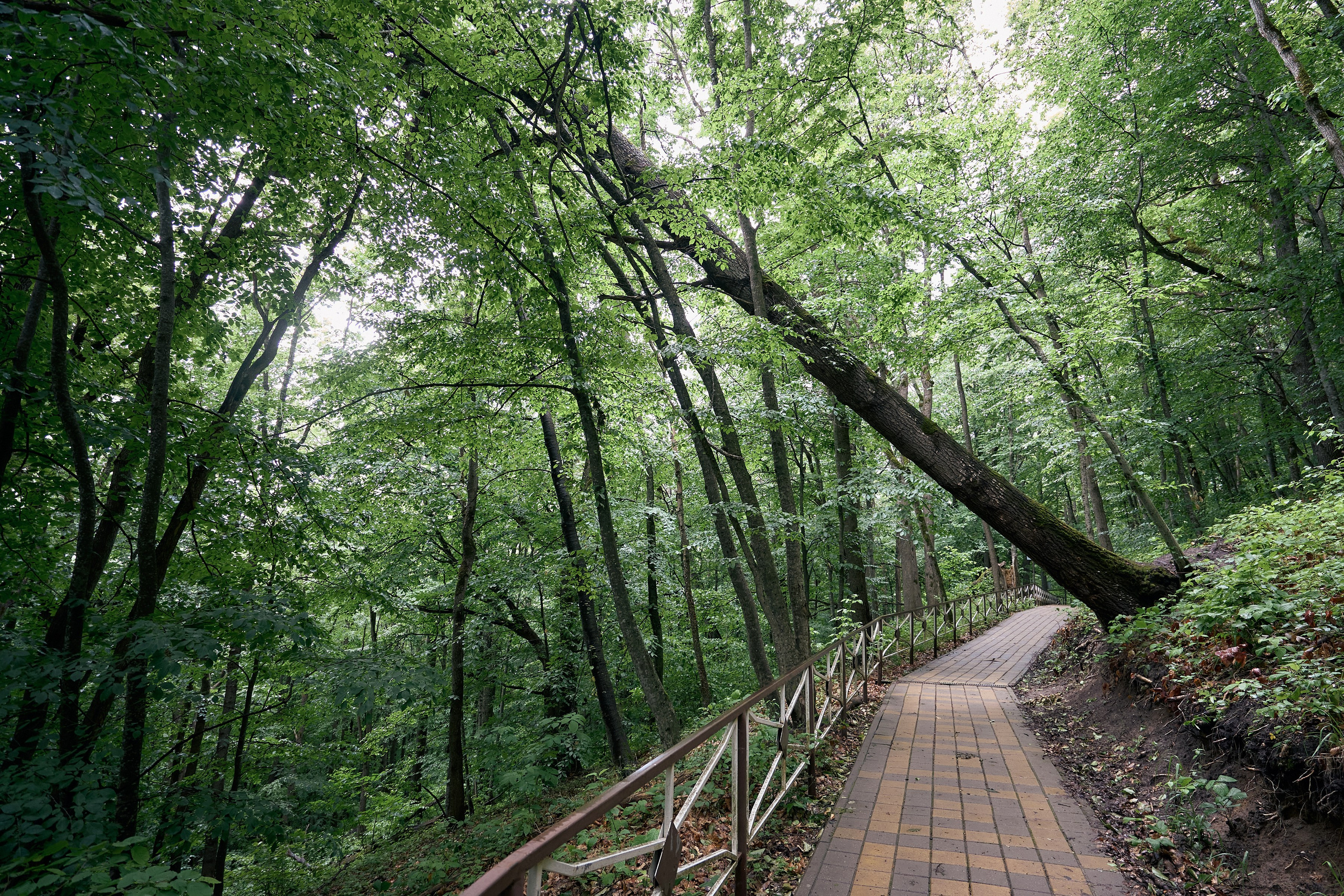 Монастырь. Петр Ступень. Свадебное, семейное фото и видео. Москва. Краснодар