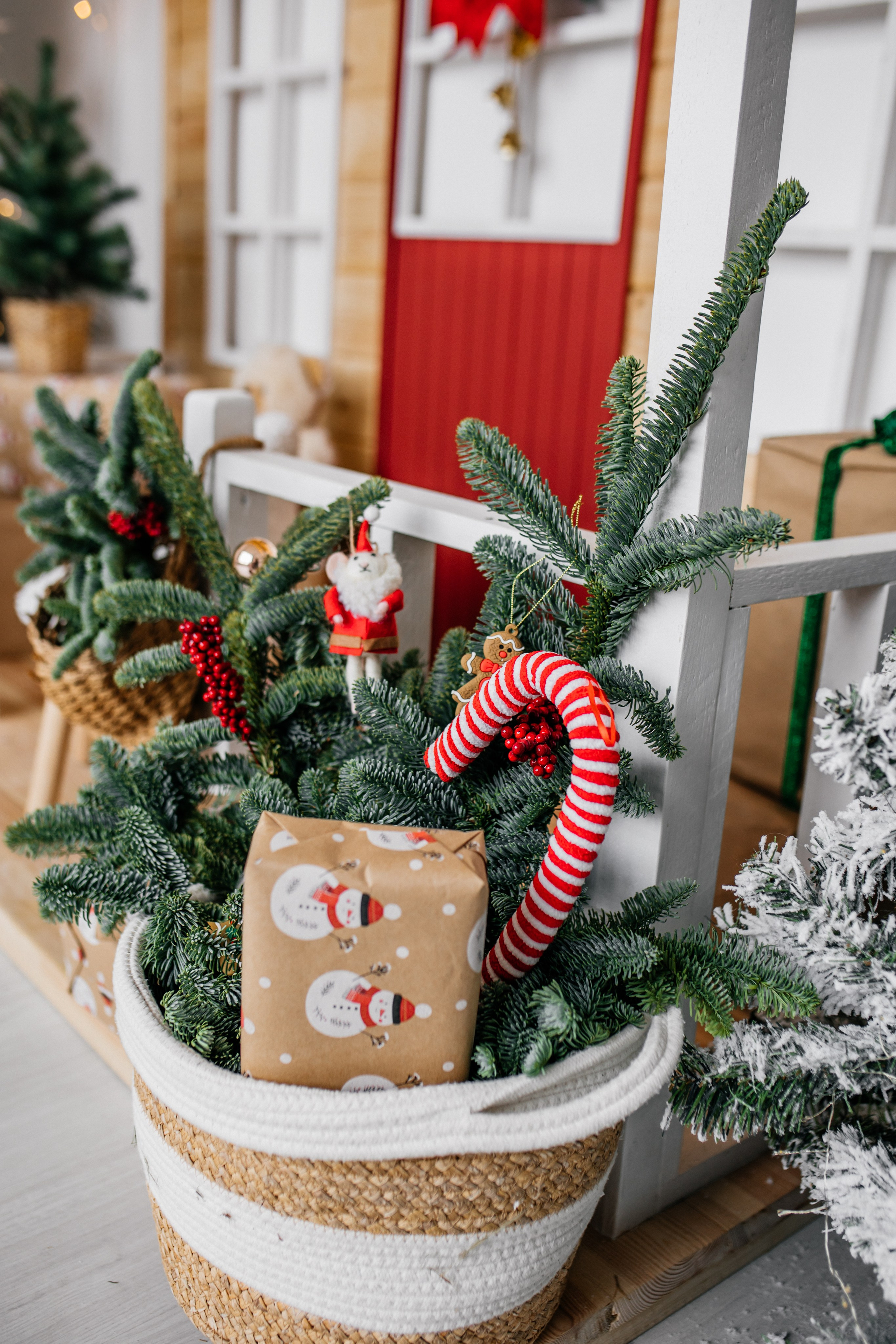 ETO Studio — фотостудия в Минске. Понравилась студия? Напишите — организую съёмку именно здесь. Фотограф в Минске Людмила Дутко