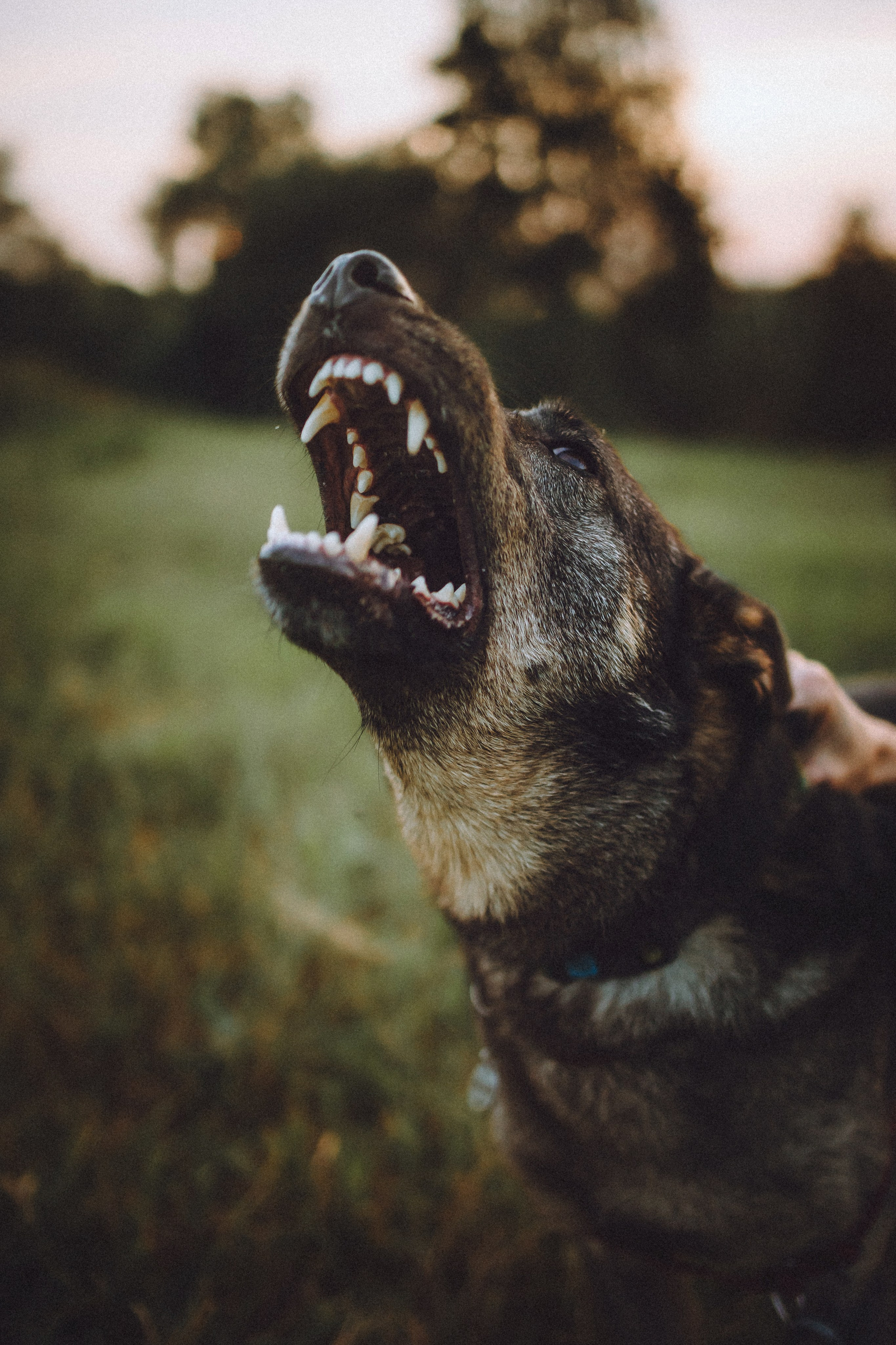 Лучшего времени, чем сейчас — не будет