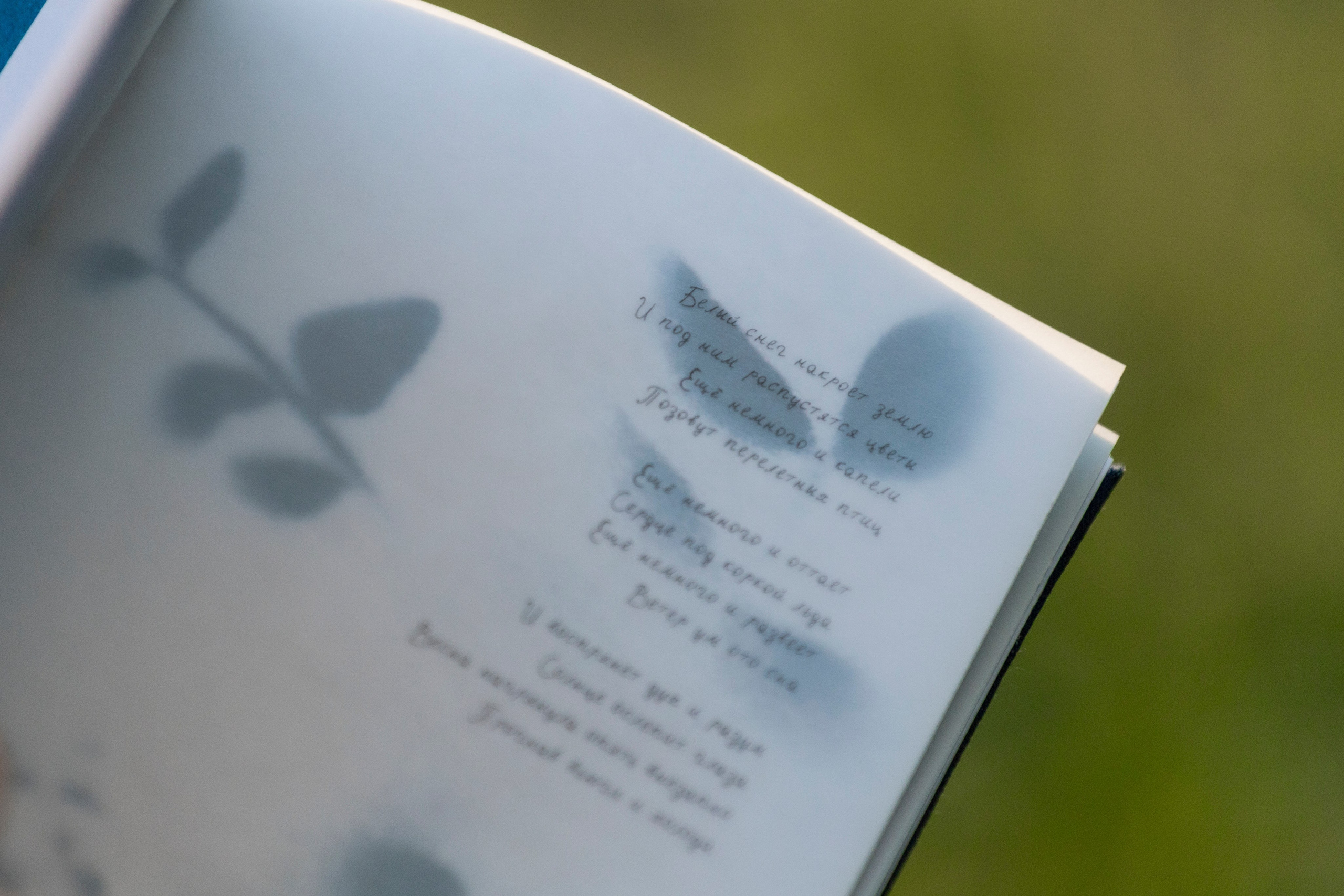 Фотозин «Светлячки в темноте»