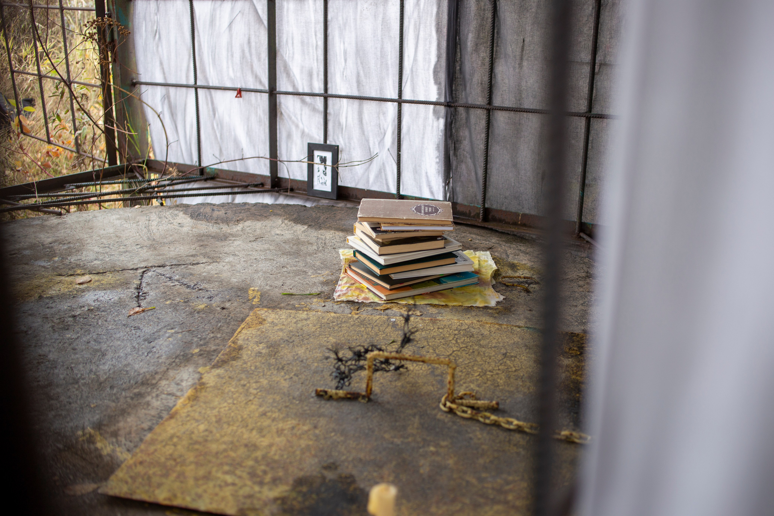 Сумерки речи. Михаил Курганов