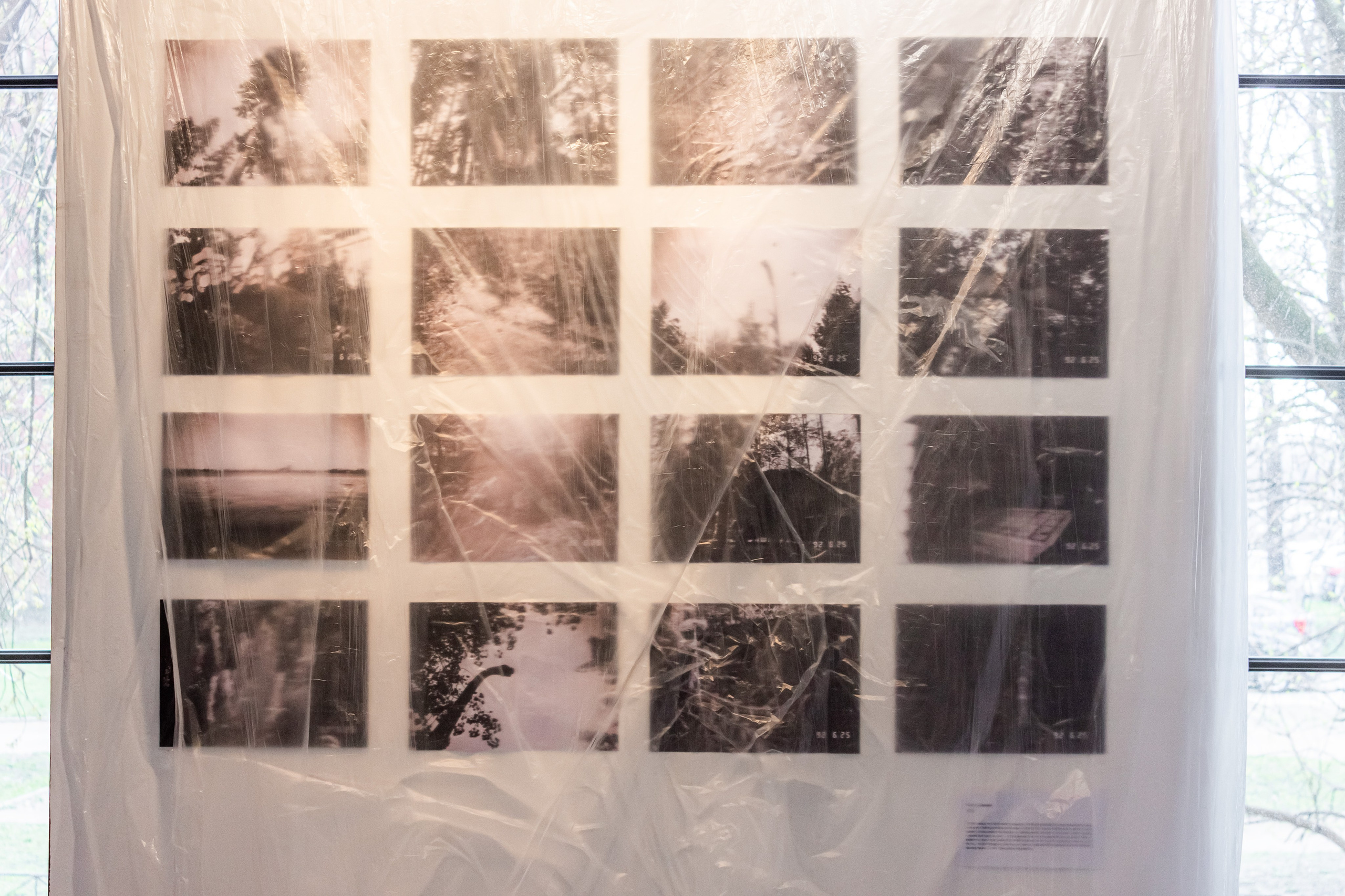 Динотопия. Козлова Екатерина. Междисциплинарная визуальная художница