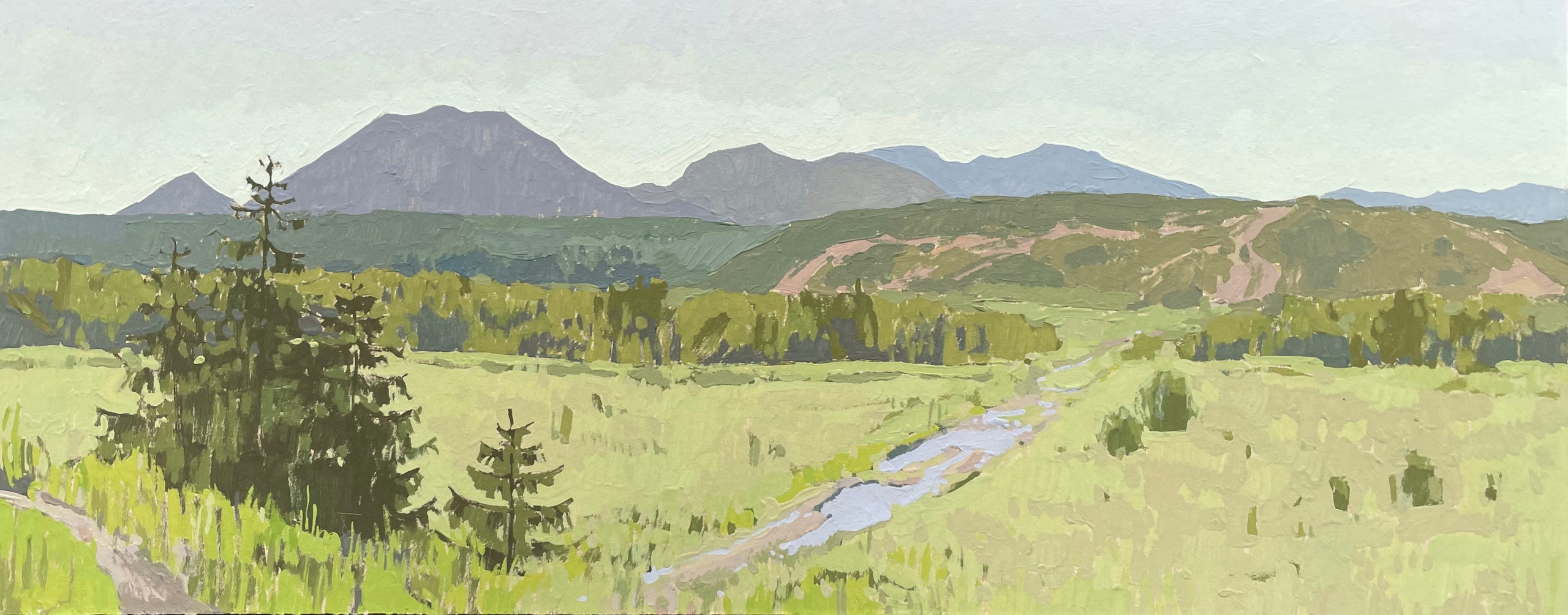 Художница Лиза Владимирова