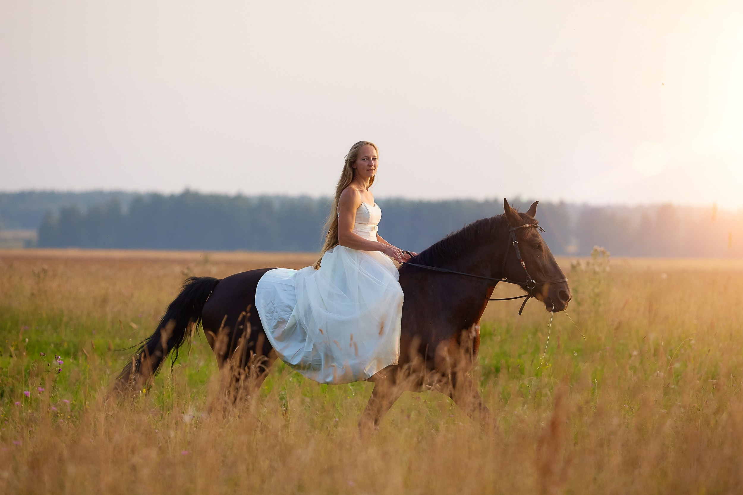Фотосессия с лошадьми Фотограф Михаил Семенов, г. Ярославль