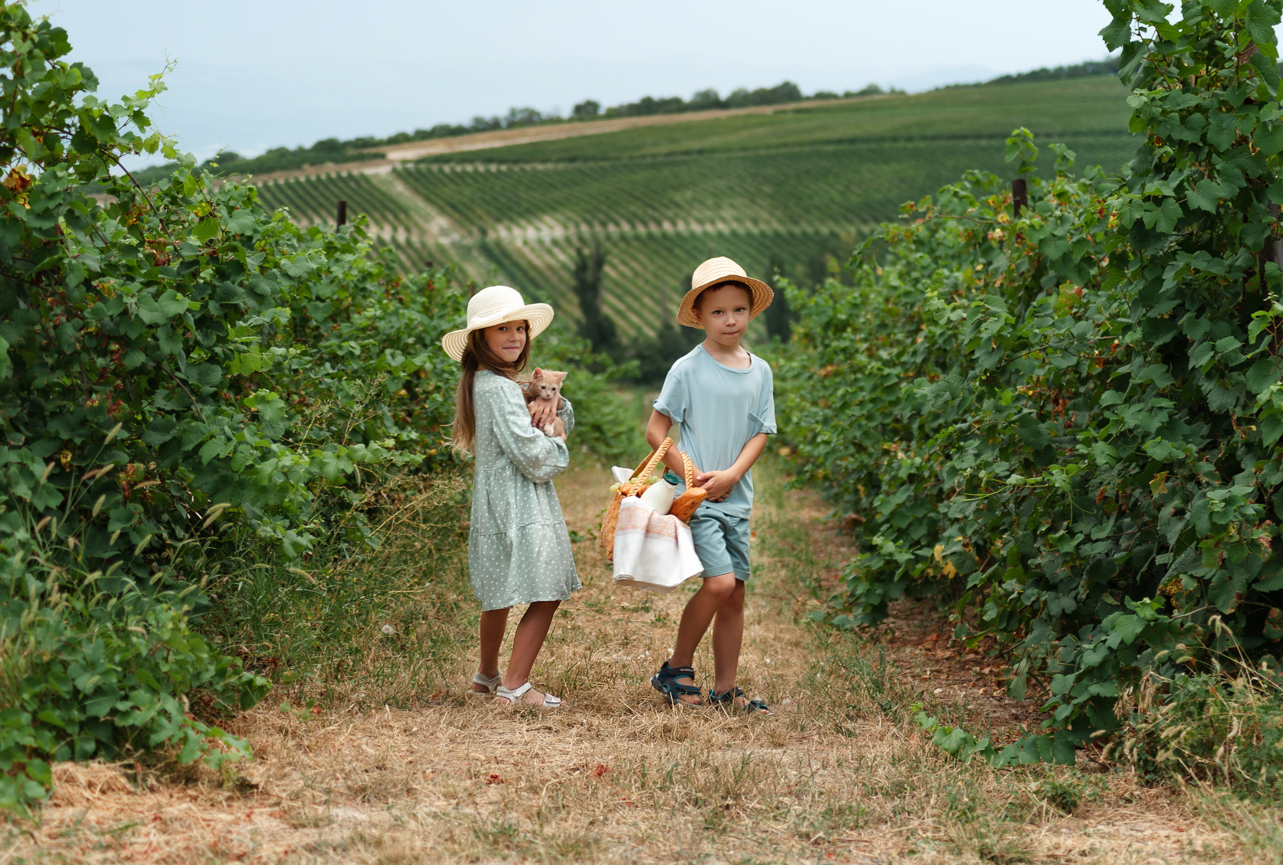 Пикник. Семейный и детский фотограф в Новороссийске Лебедева Елена