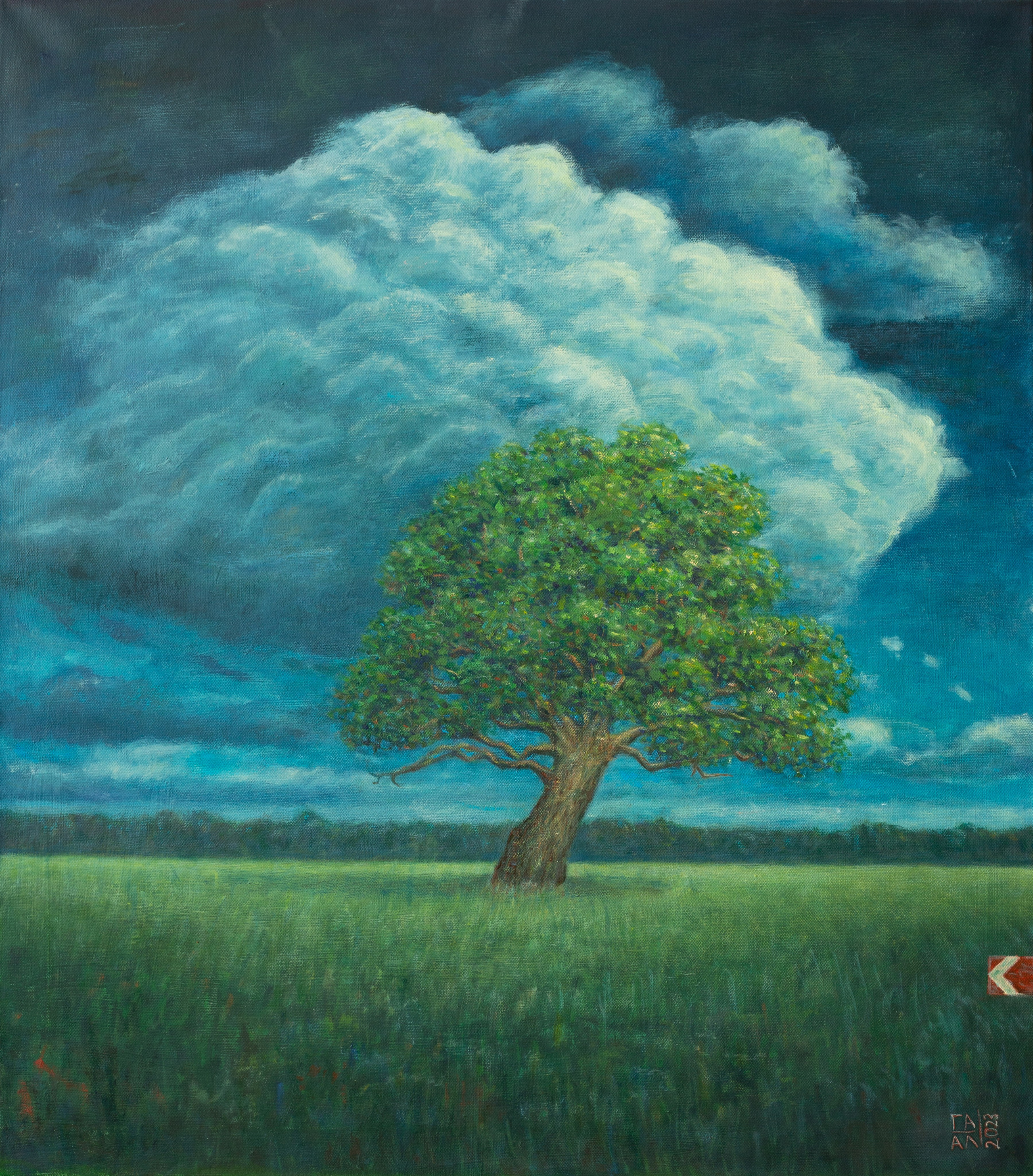 Фотосъемка картин в Смоленске. Фотограф | Михаил Буш Смоленск