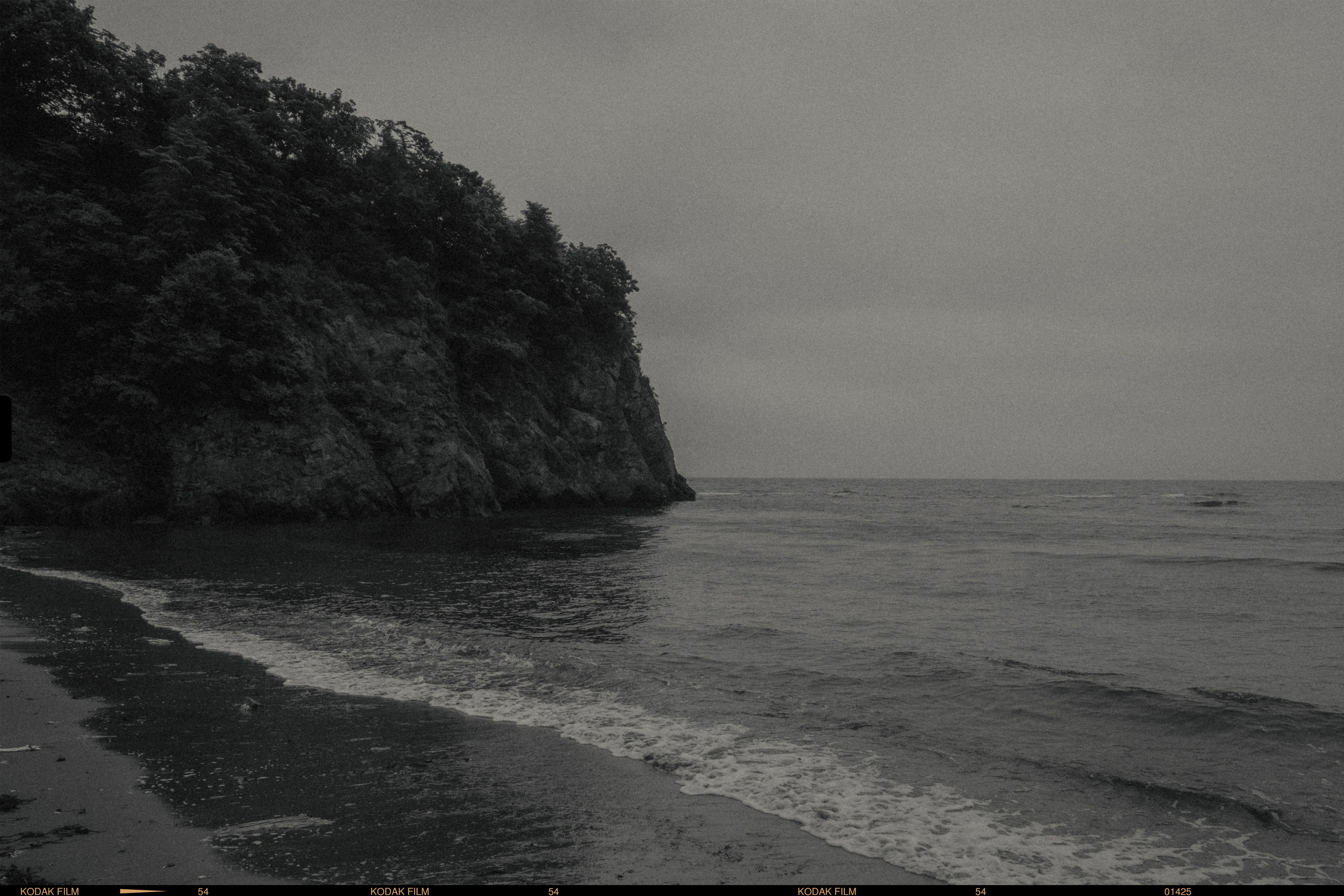 Шамора фото владивосток фотография черно белая природа