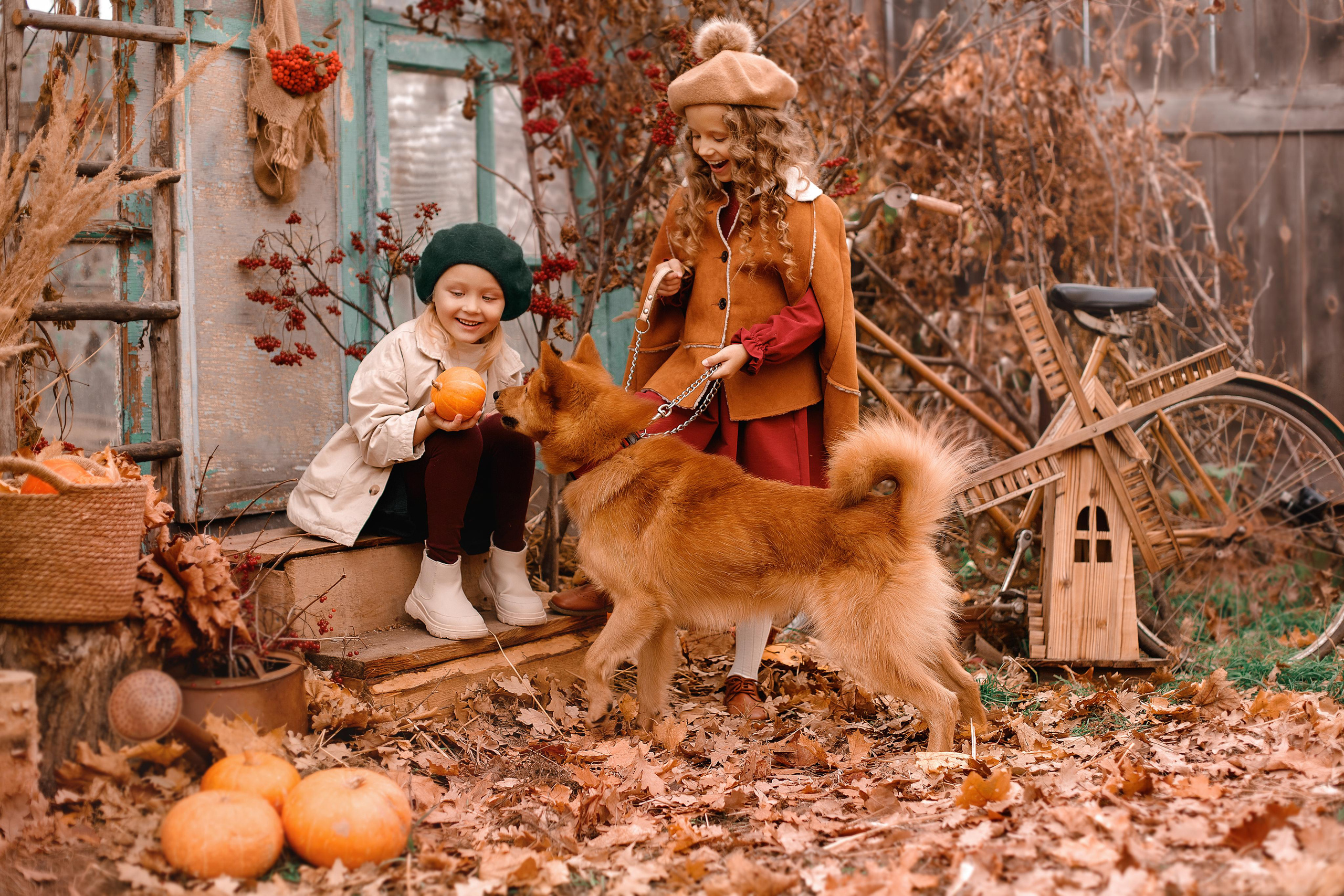 Детская съёмка. Фотограф Елена Аленская