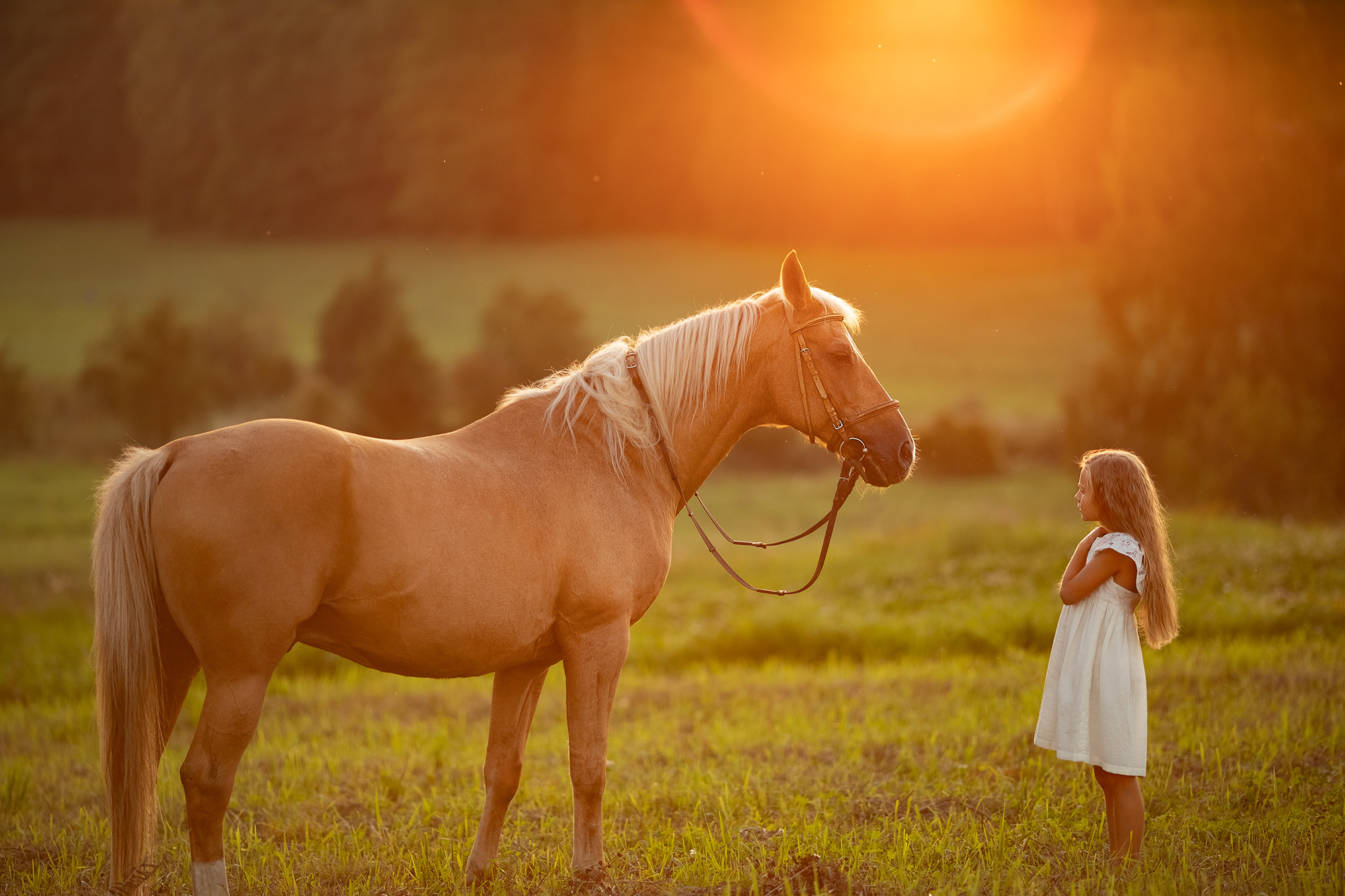 Детская фотосъемка. Женский семейный фотограф Тула Москва Захарова Анна