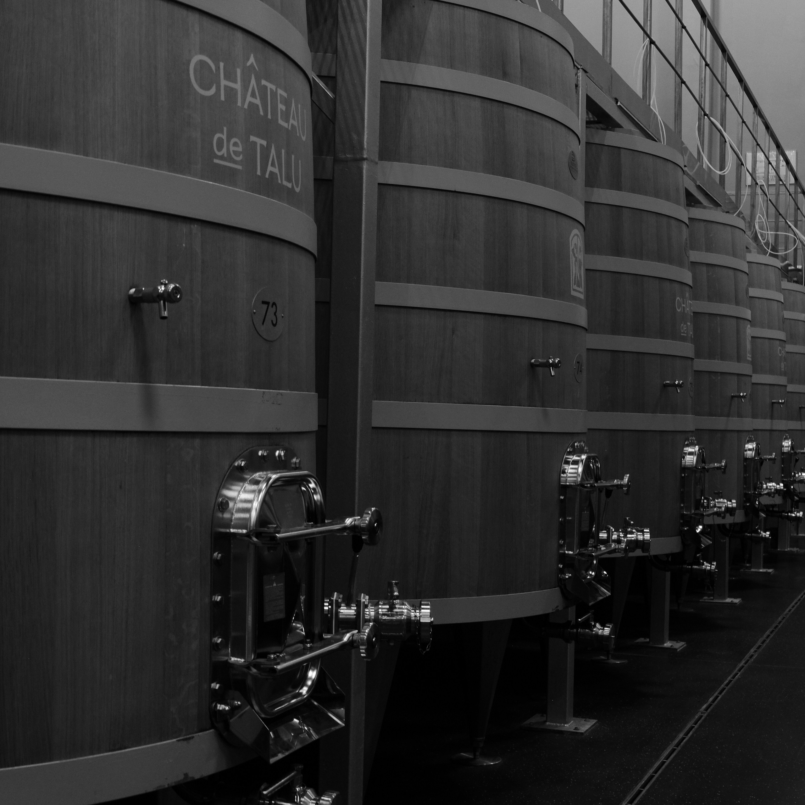 Russian wineries. Creative travel photographer — Berg Daria