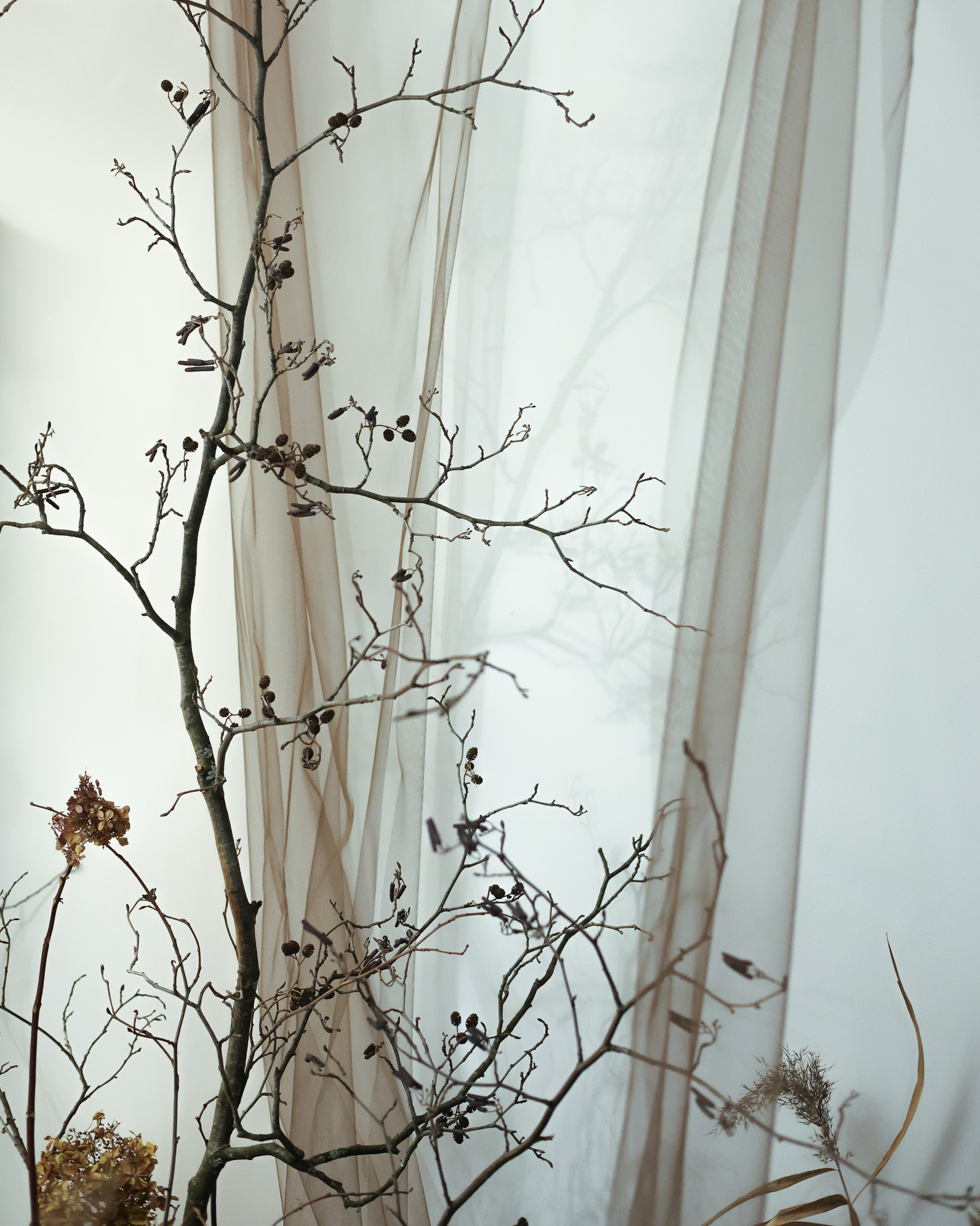 Локации. Фотостудия «Дофамин» в Нижнем Новгороде