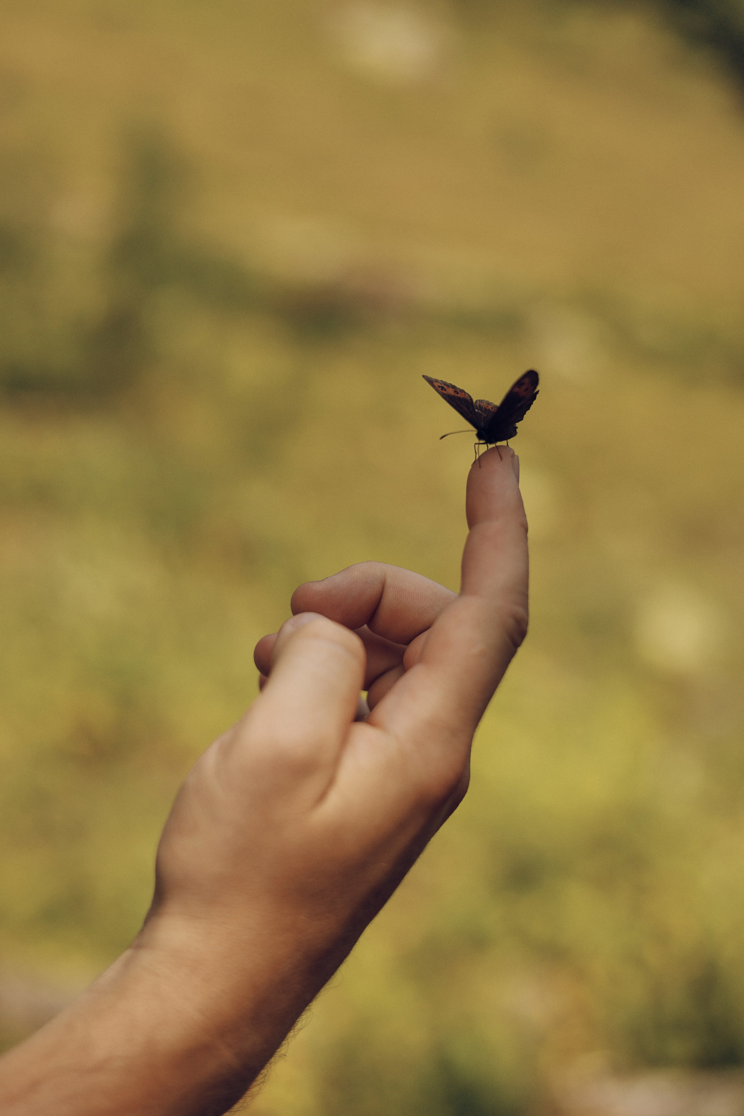 Путешествия. Mariyaschmidt