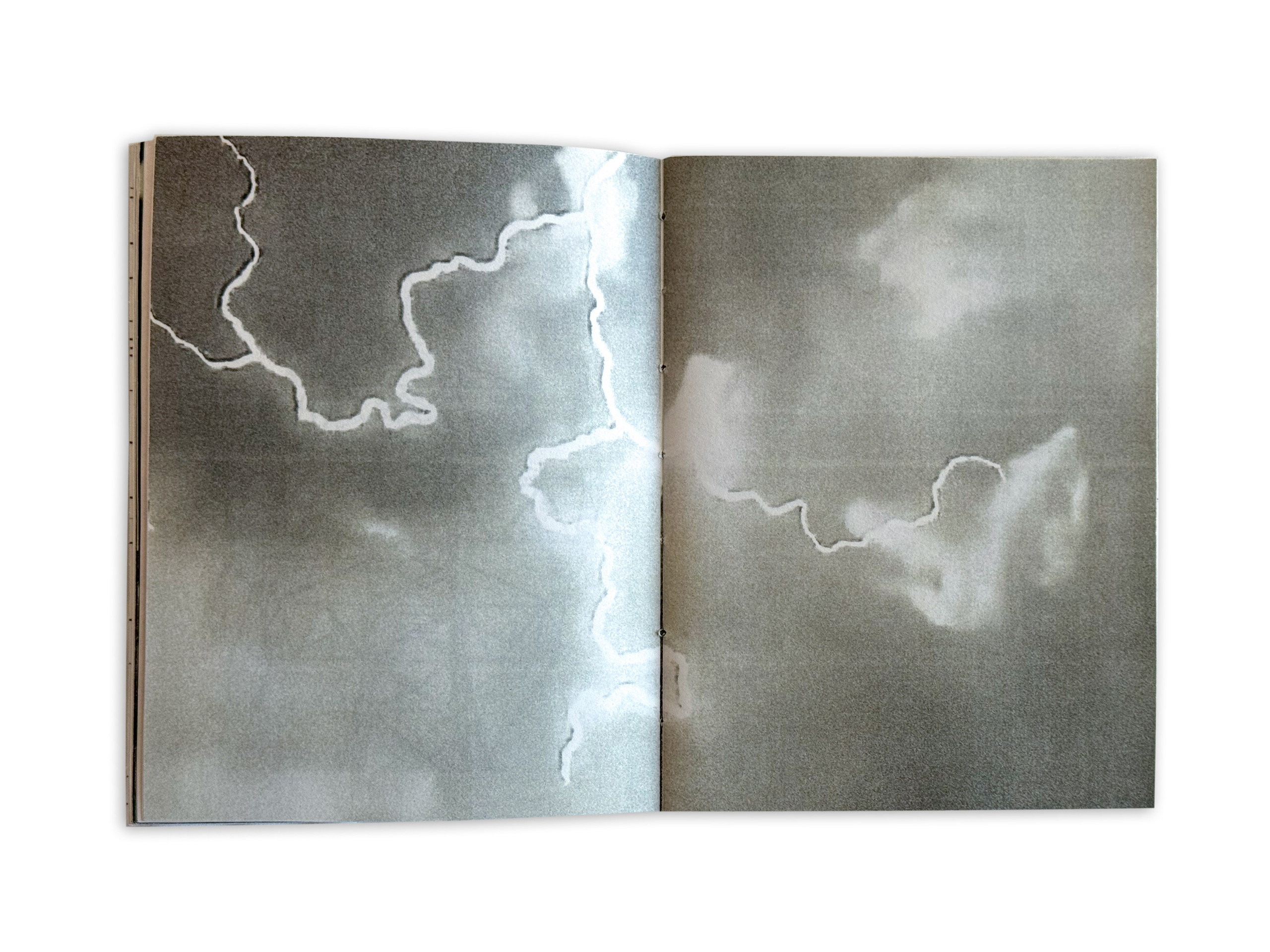 Цветок на камне. Лера Круглова