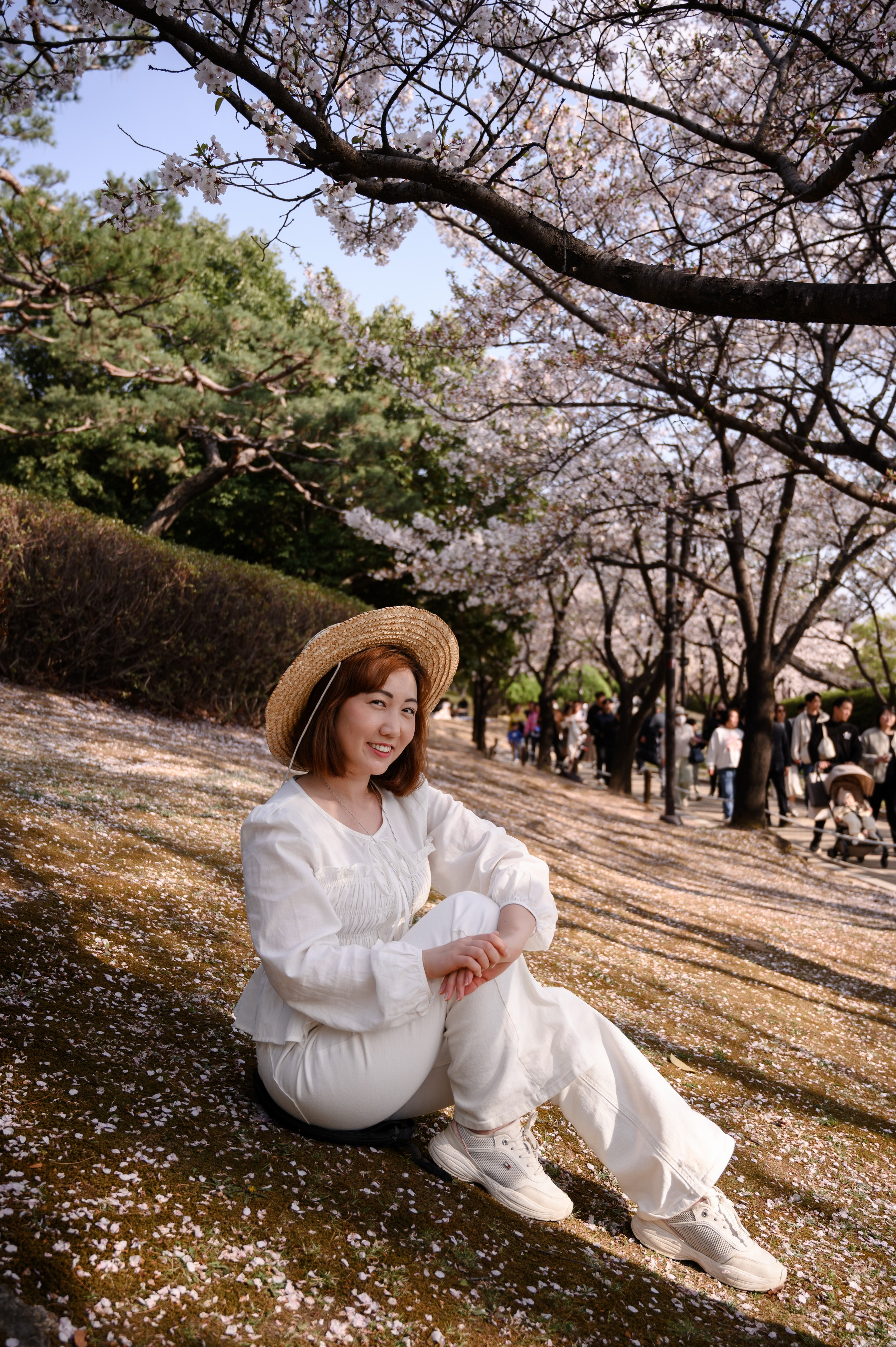 Spring cherry blossom photoshoot at Oncheoncheon Stream Busan