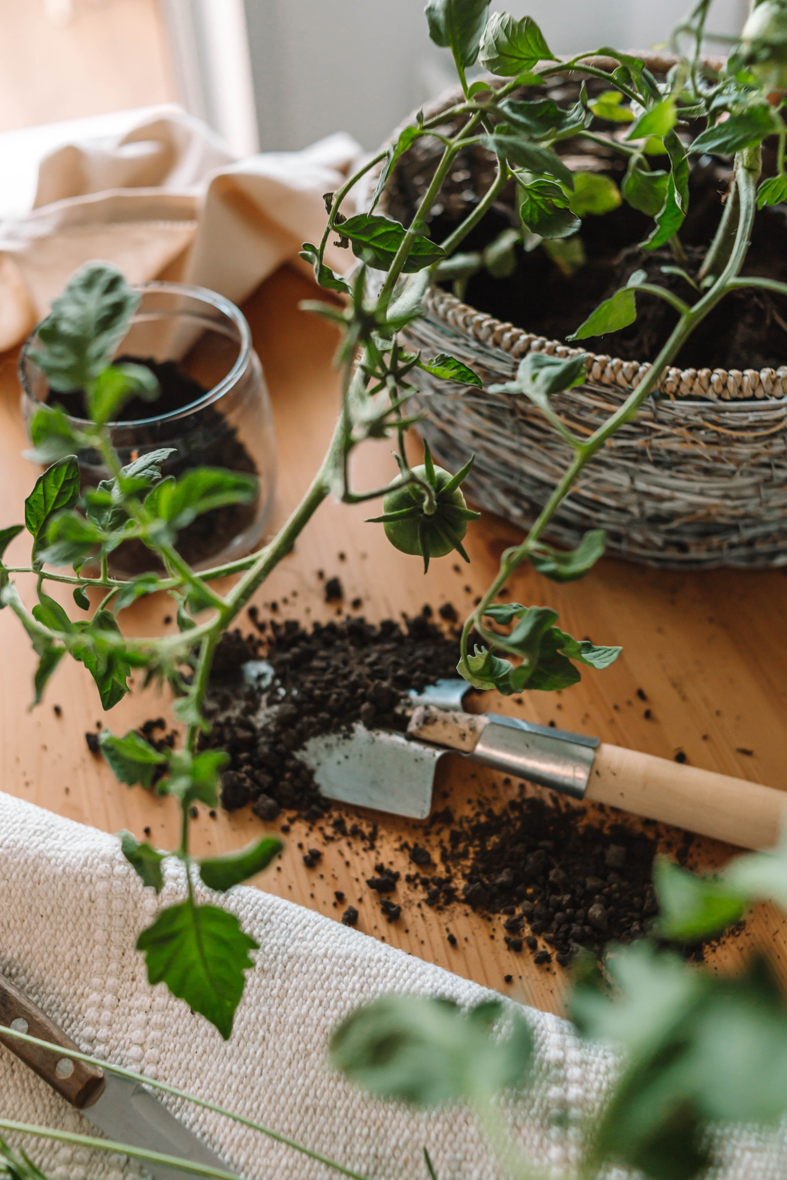 Люди. Фотограф Олеся Кавлакан