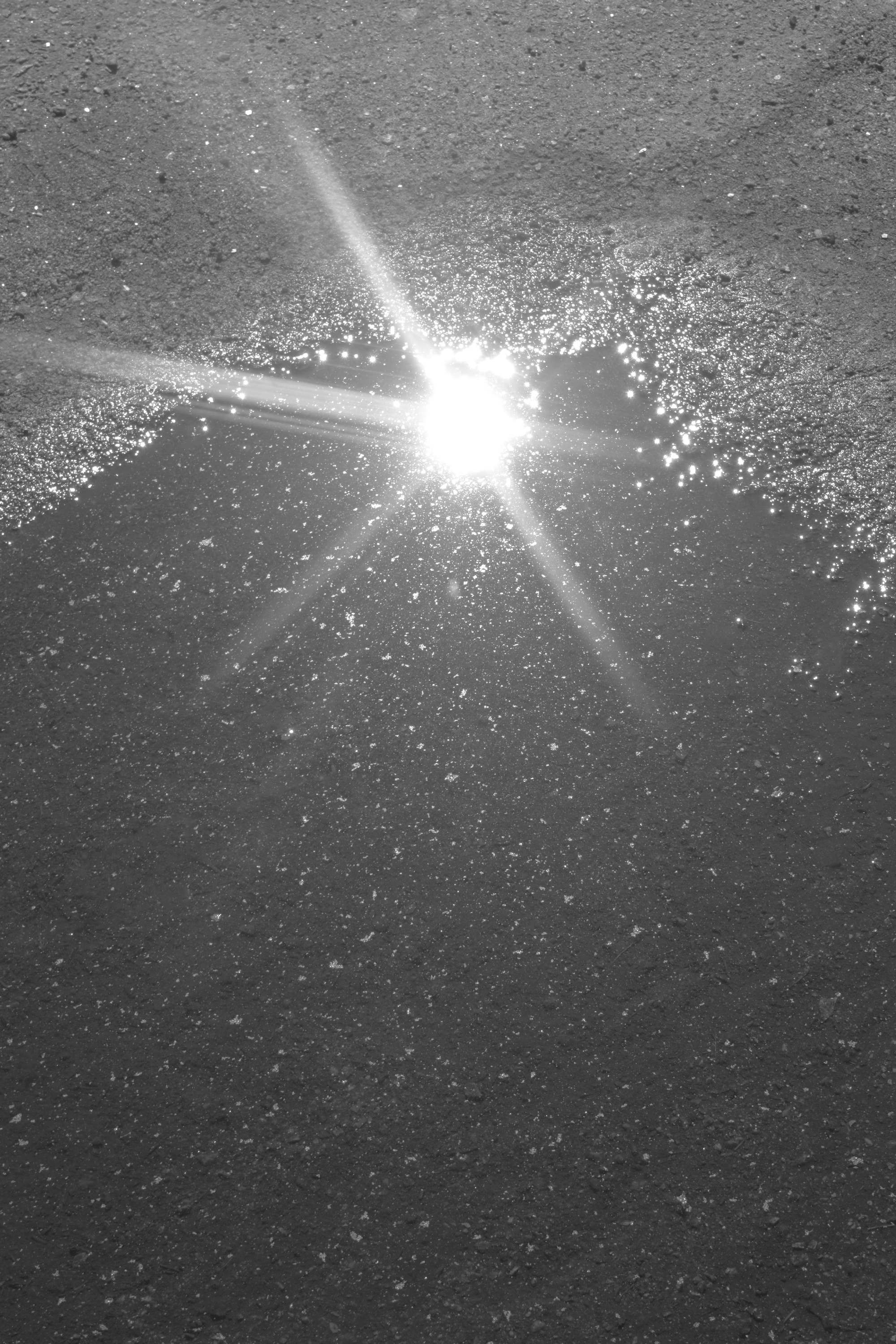 About fish. Maria Pilkevich