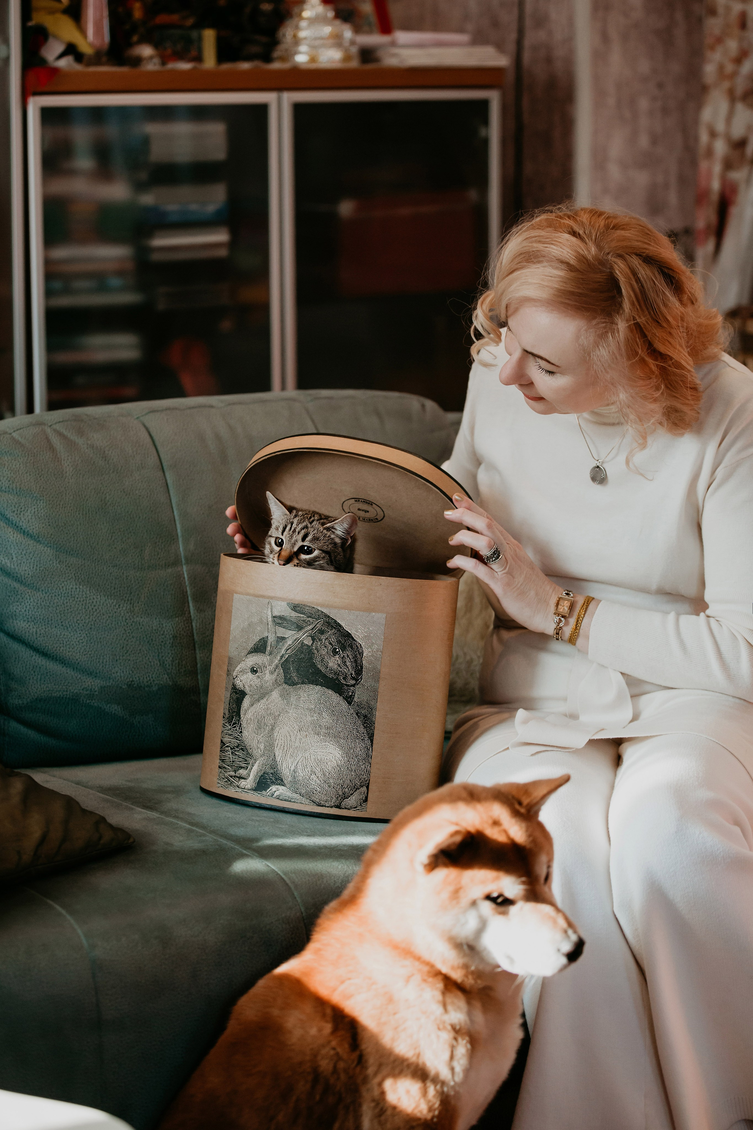 Фотосессия дома с Сиба-ину. Фотограф-анималист в Краснодаре Маша Мельникова