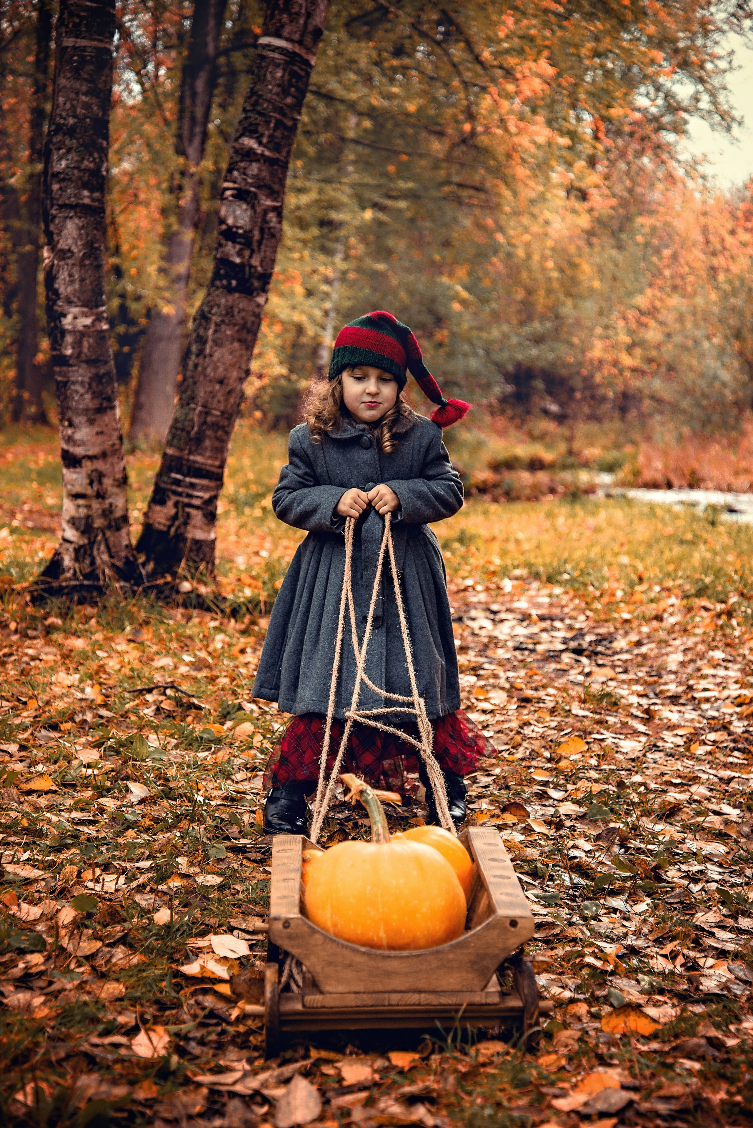 Гном. Фотограф в Петрозаводске BellaDonna