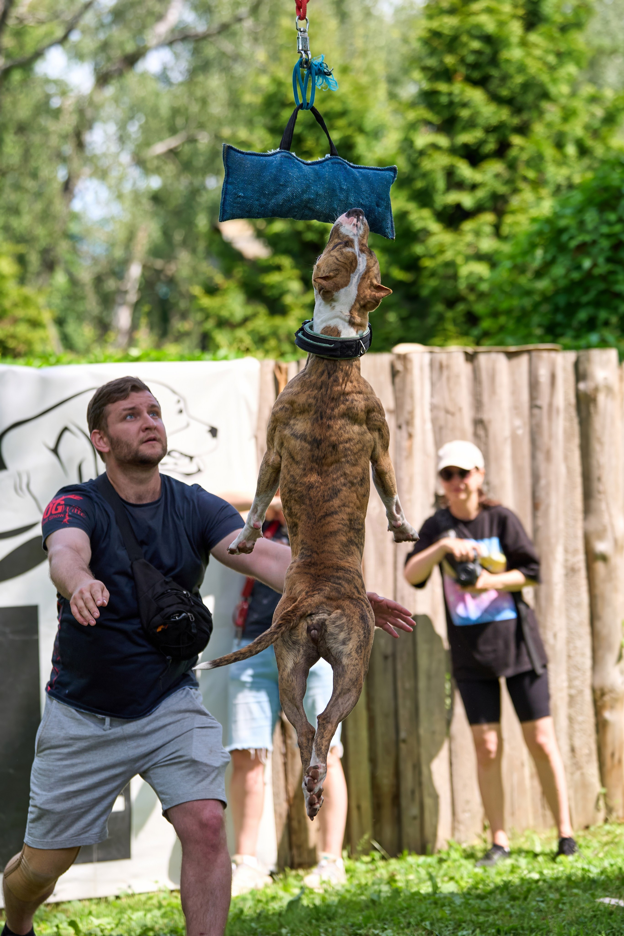 Двухдневные соревнования «Jump'n'Gym Fest — 2024». Фотограф-анималист Михаил Манухин