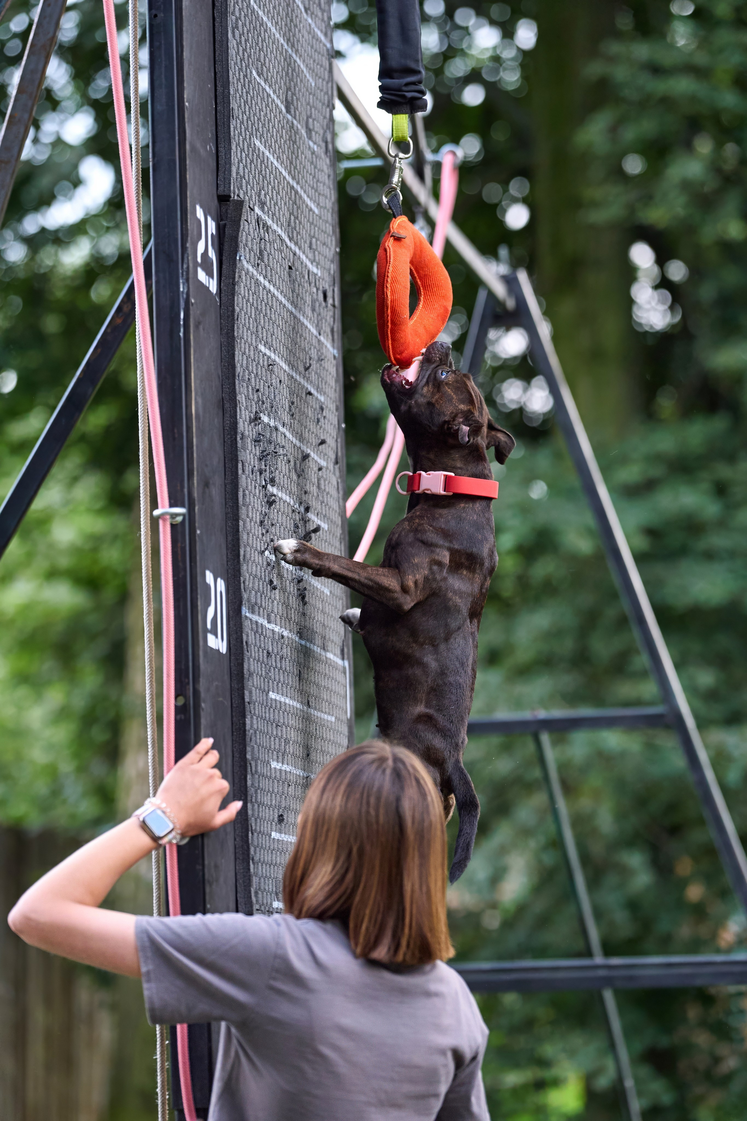 Jump'n'Gym JUMP! — 2024. Фотограф-анималист Михаил Манухин
