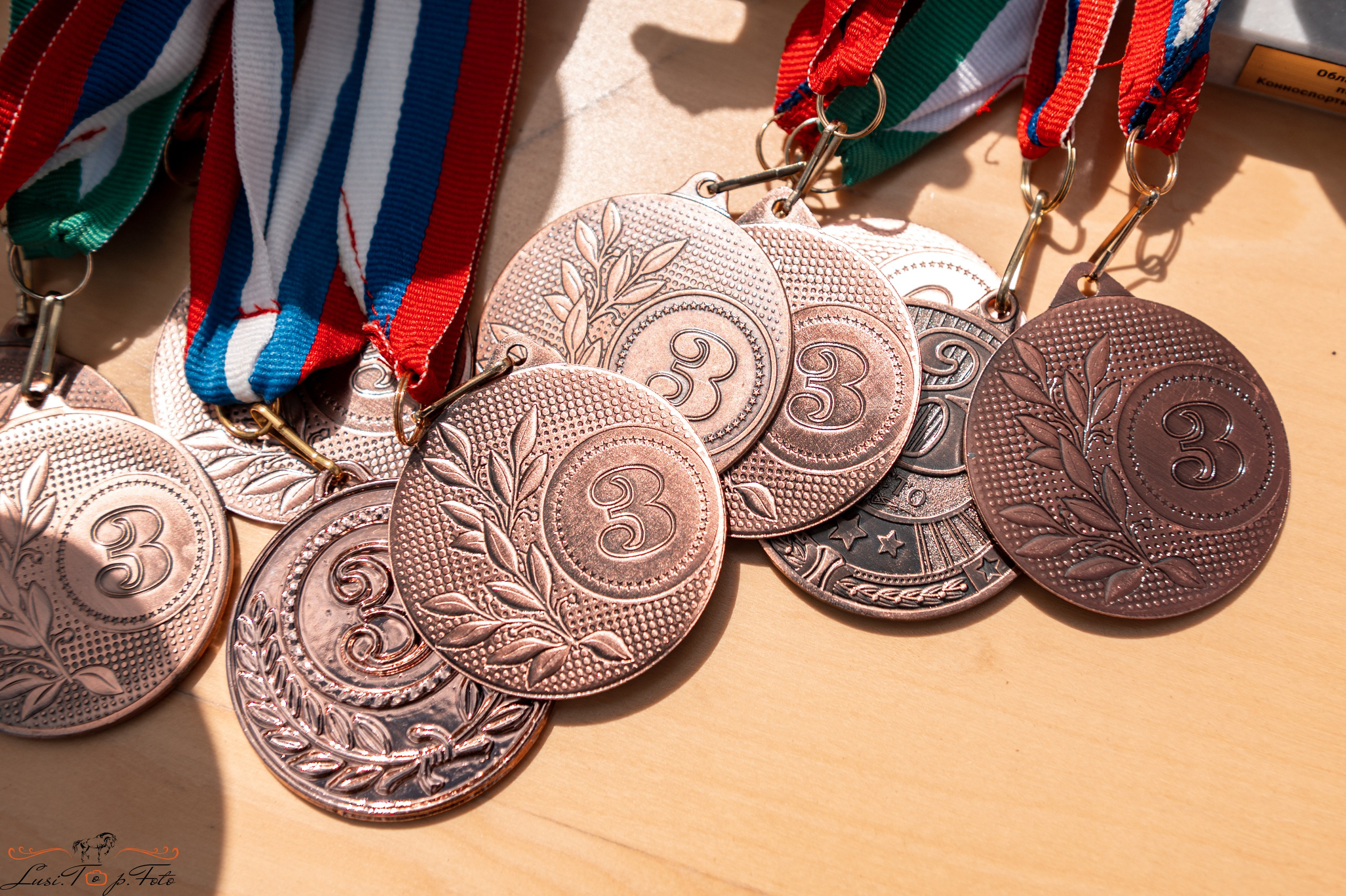 Областные соревнования по выездке. Тверь. Конный и фотограф с животными в Твери Топталова Люся