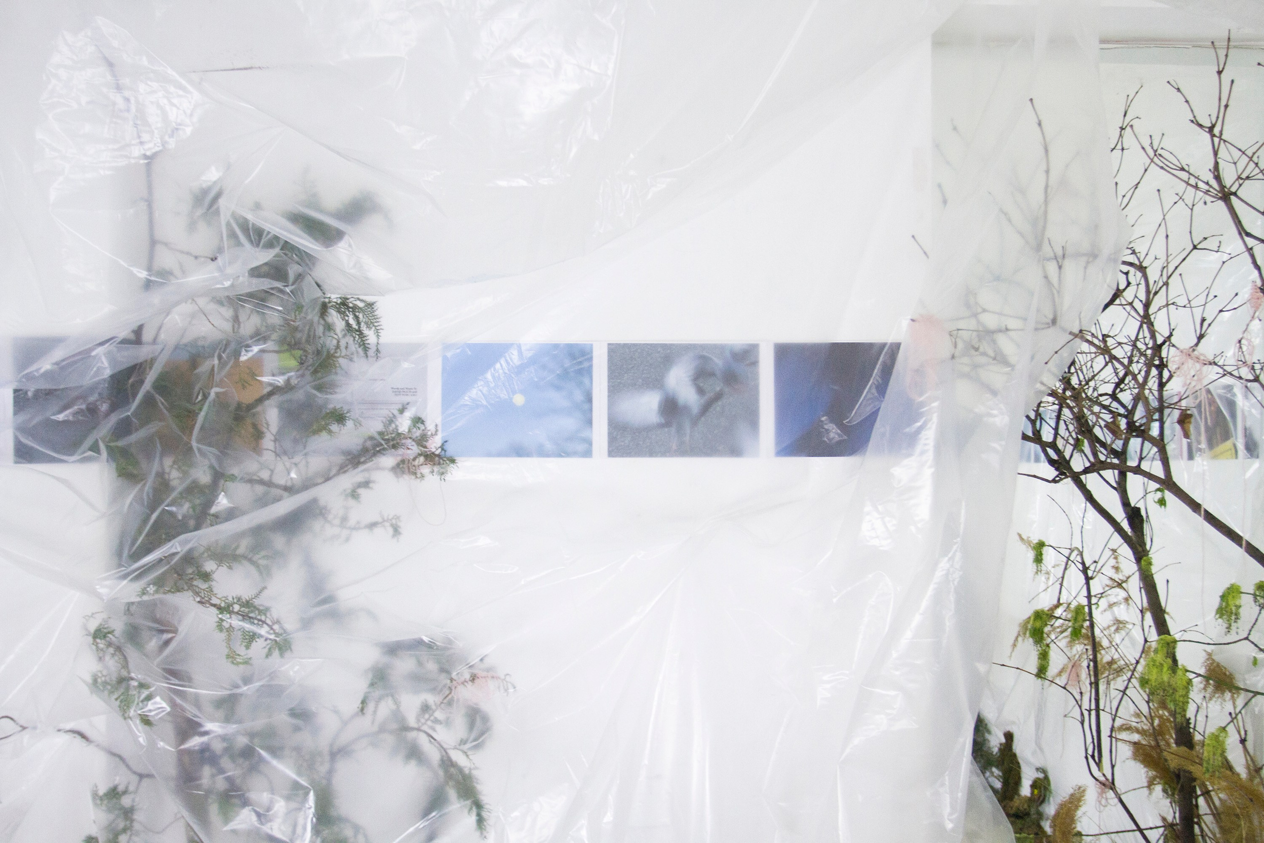 2024, The exhibition «How Do You Smell?». KST