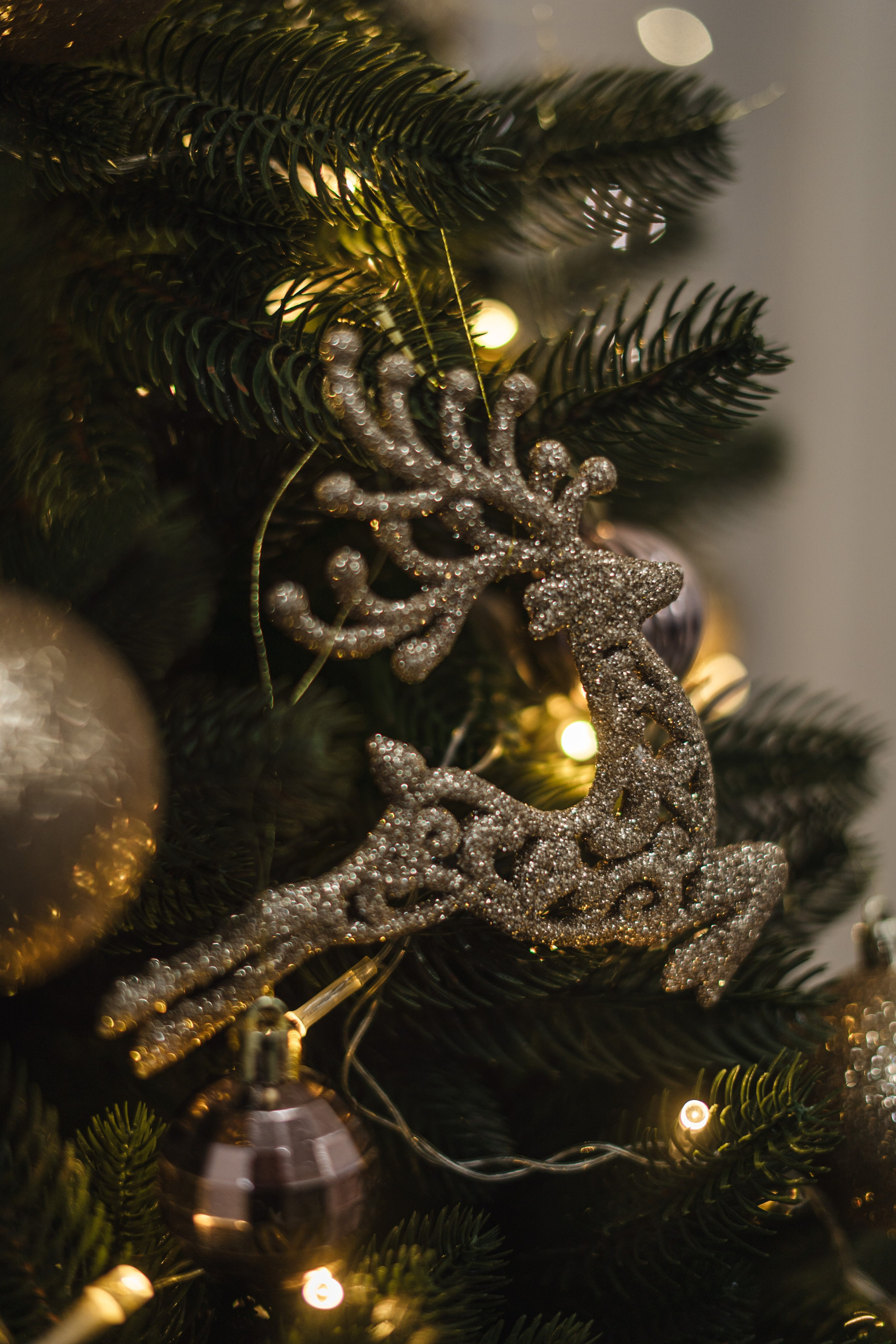 Фотостудия Импульс Новый год 2026 зал Life Лайф