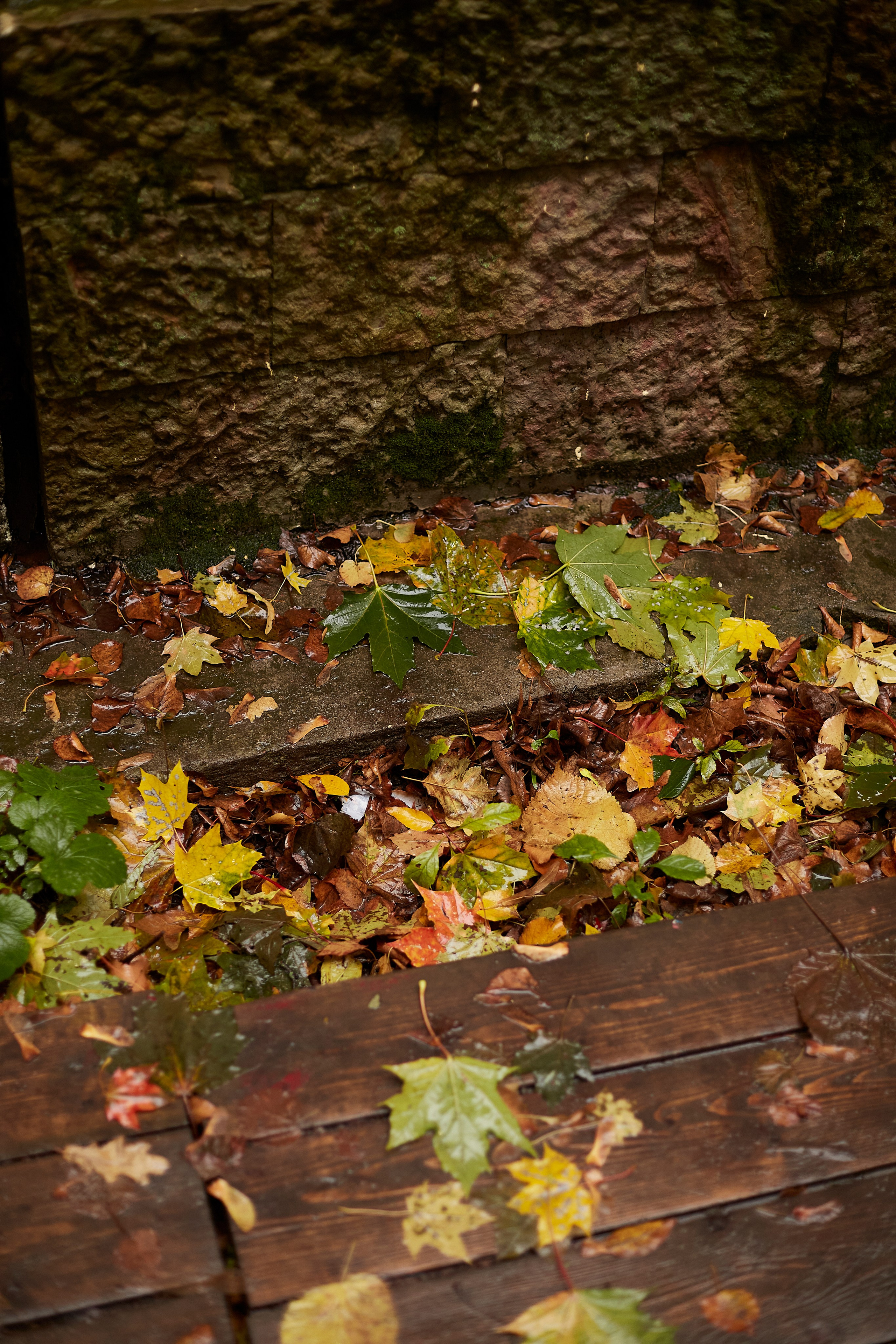 Катя. Анастасия Зобнинá — фотограф в Санкт-Петербурге/СПб