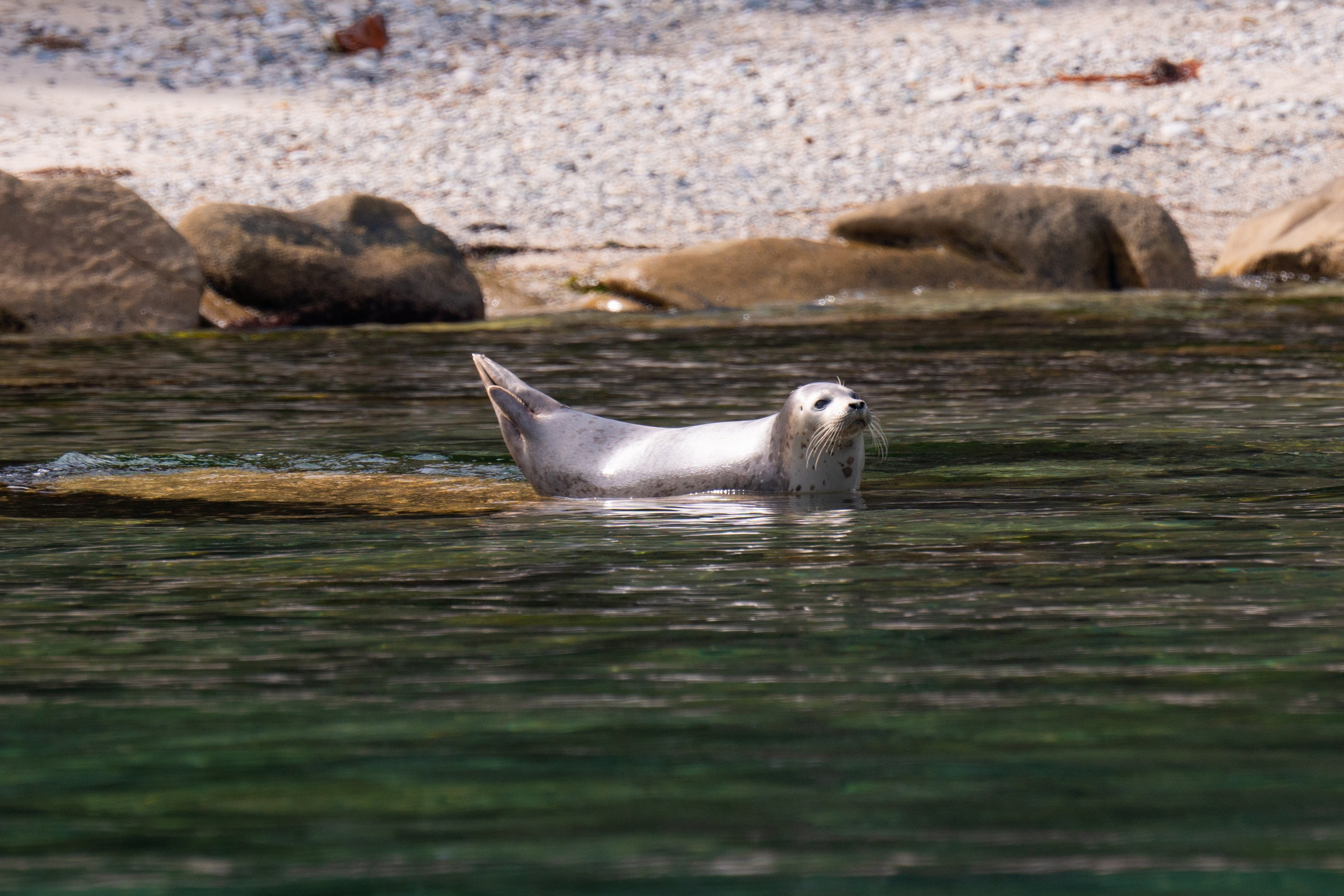 Проекты. Gusarov Travel Photography