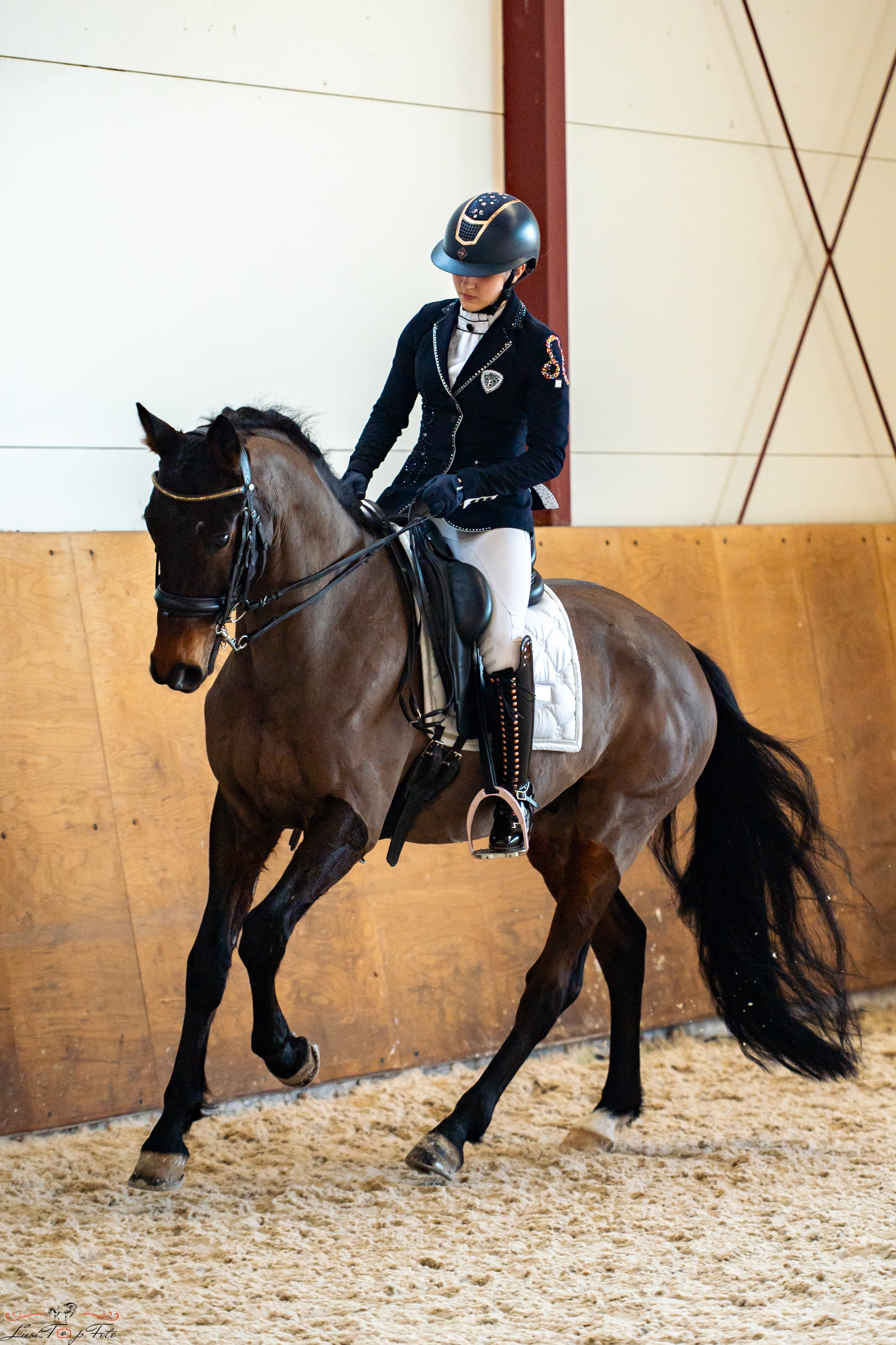 Эквипарк 6 этап Кубка Клубов. Конный и фотограф с животными в Твери Топталова Люся