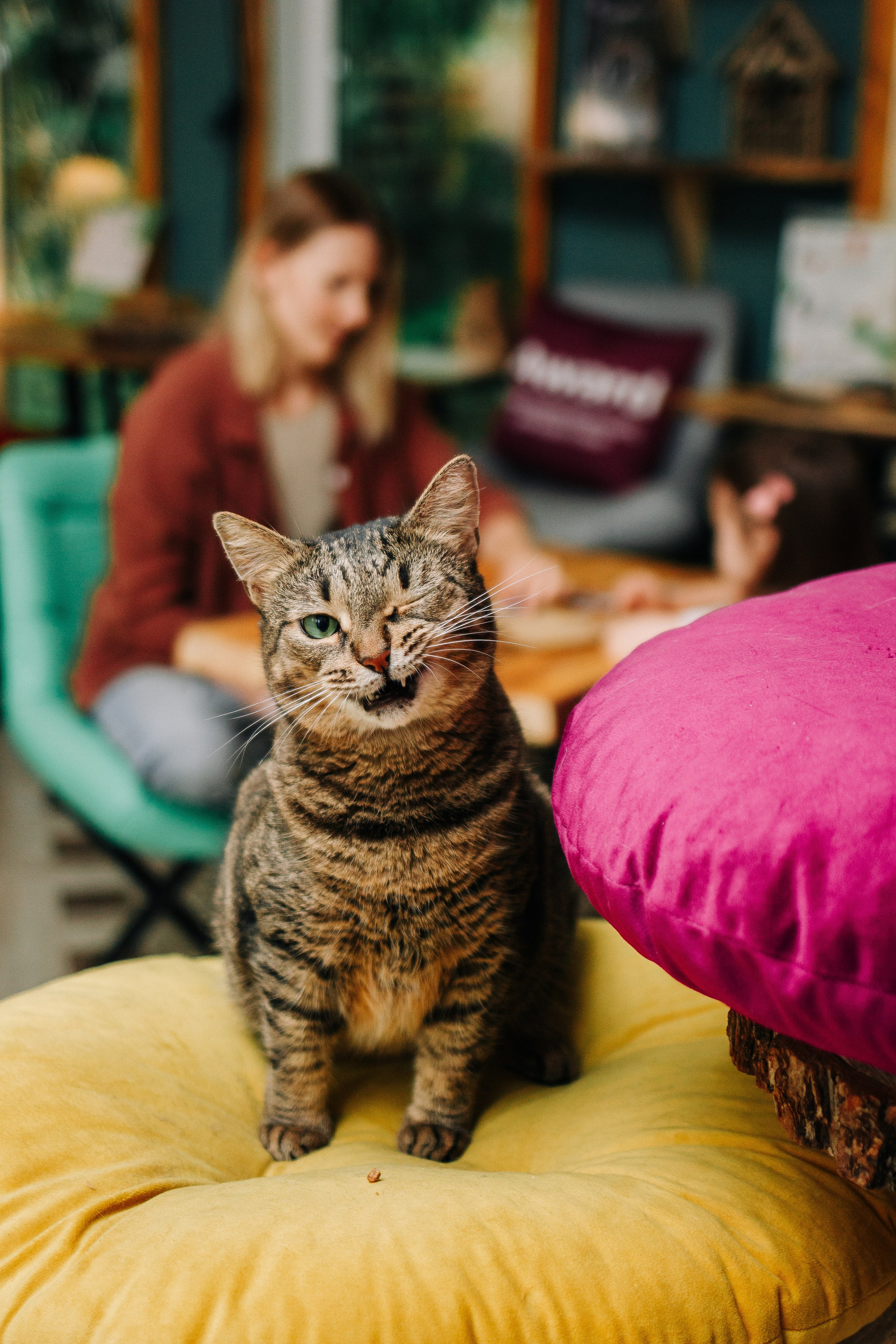 Фотосессия в Москве. Предметный фотограф в Москве Дарья Радькович