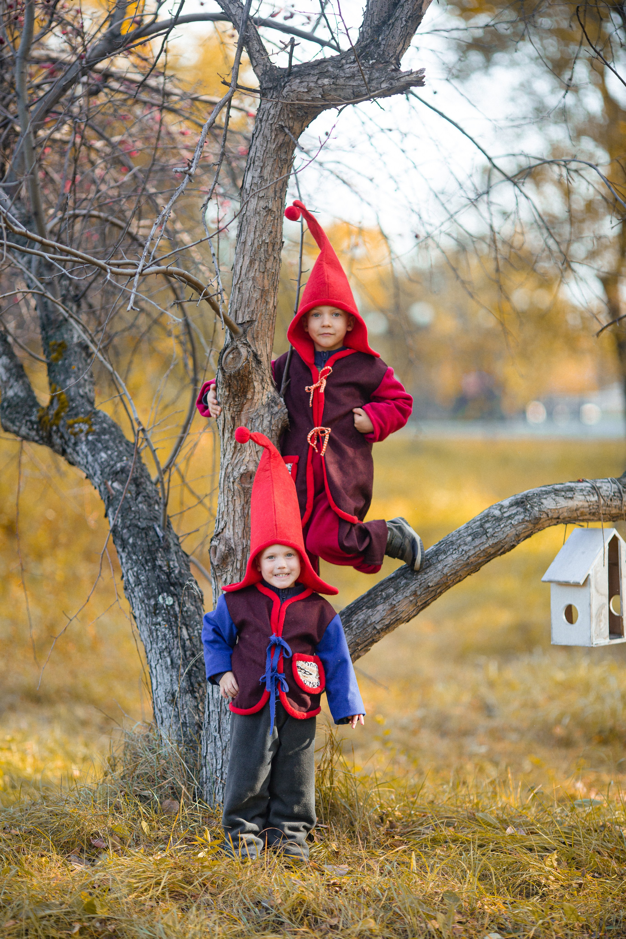 Лесные гномы