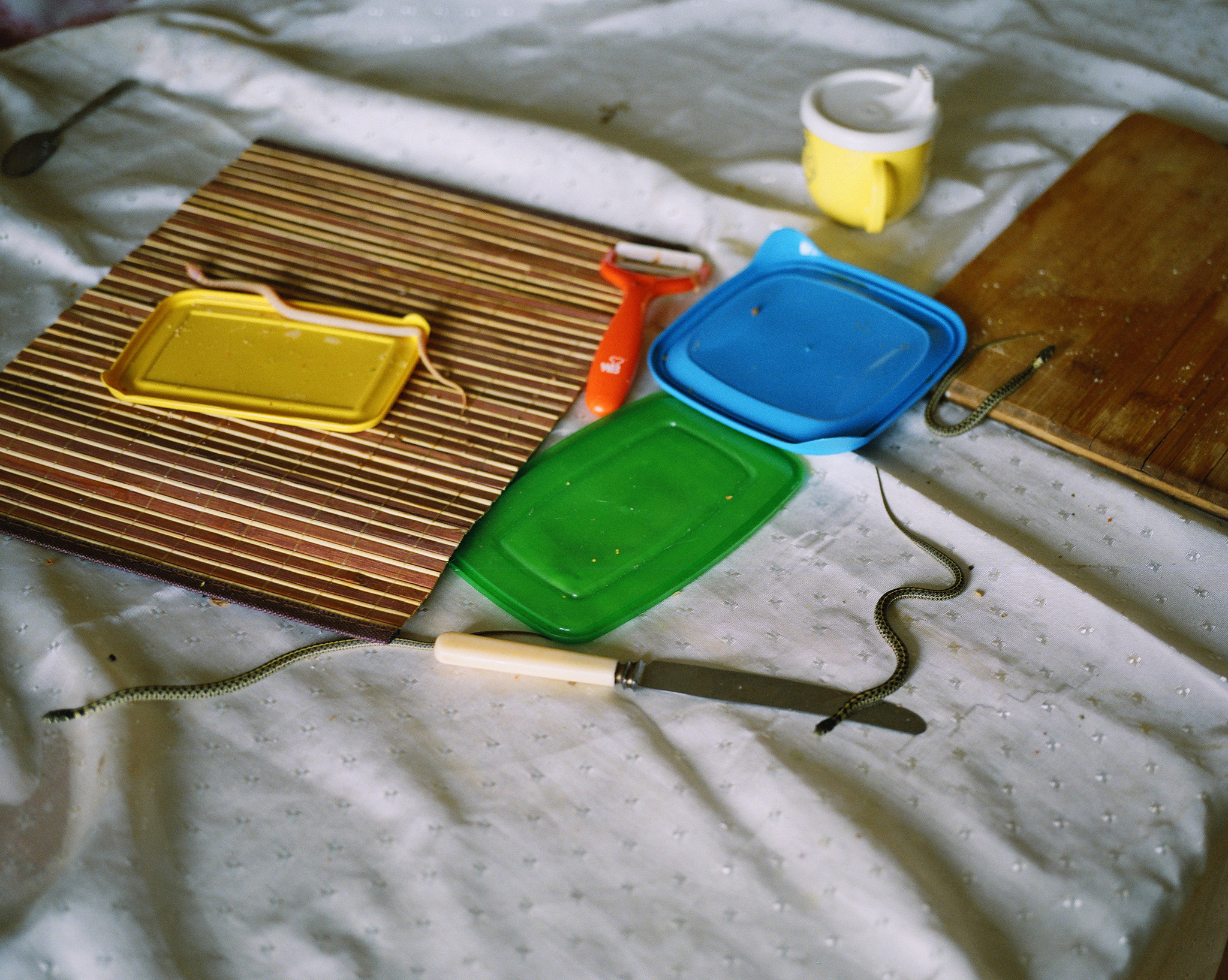 Exotarium. Jana Romanova