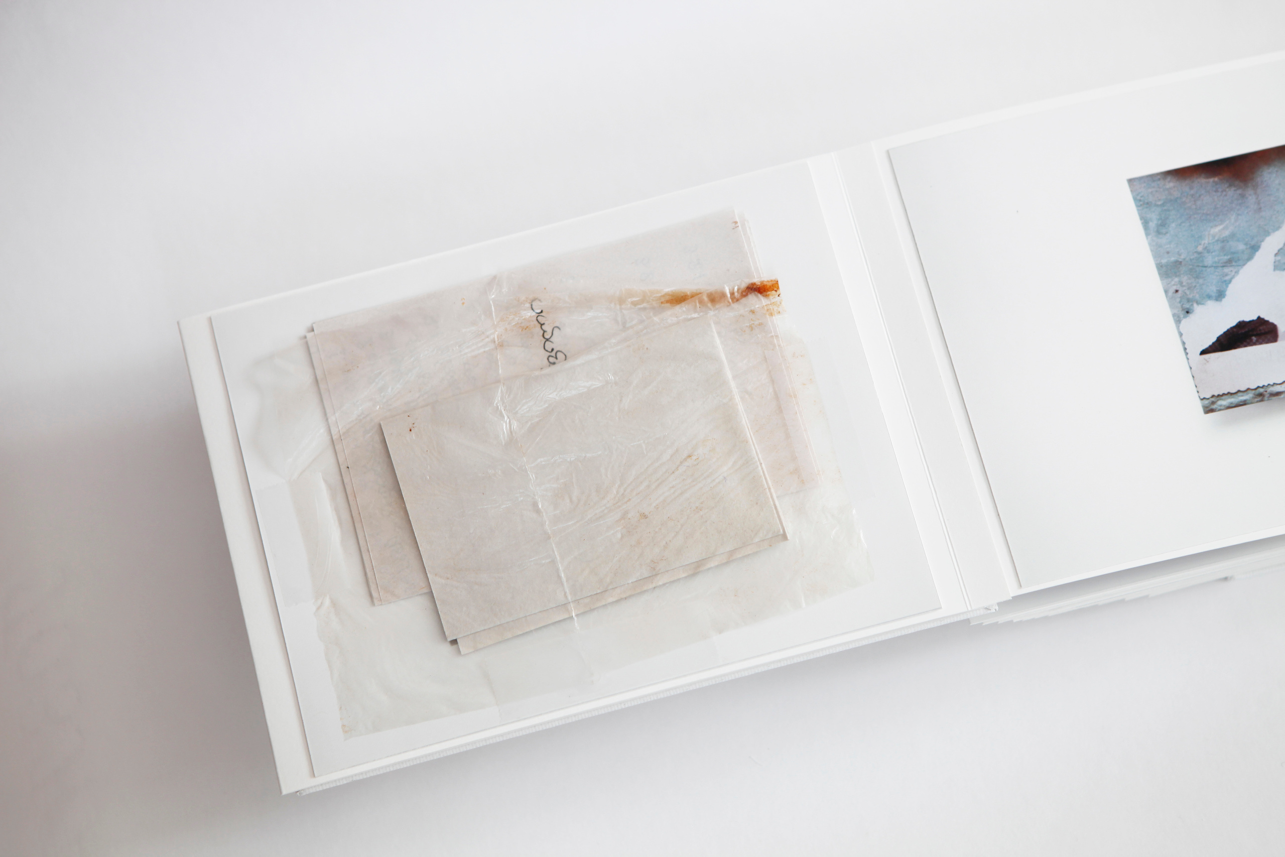 Shvilishvili. Jana Romanova