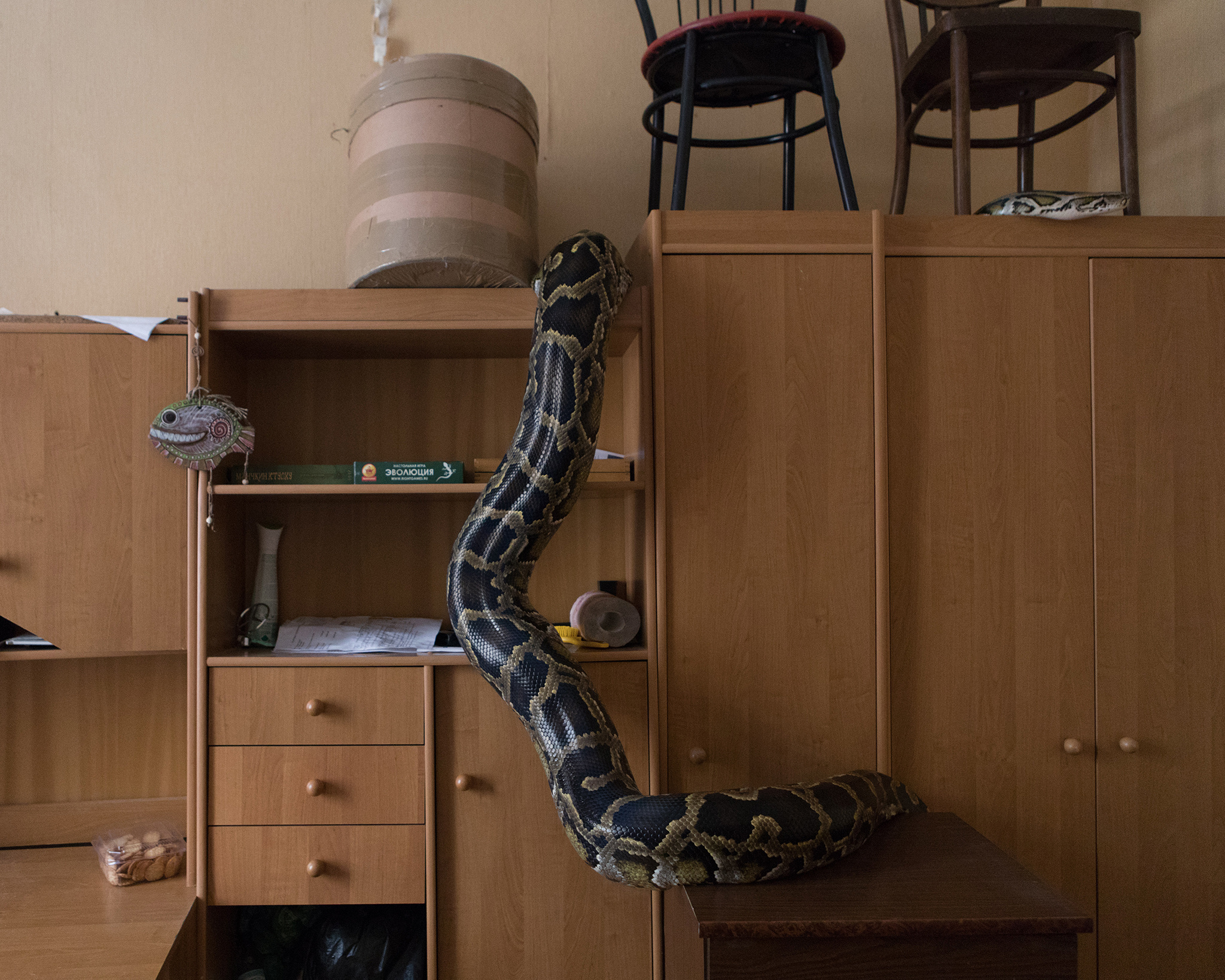 Exotarium. Jana Romanova