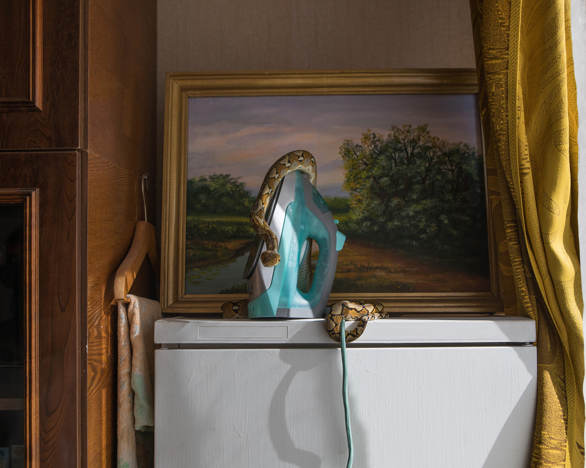 Exotarium. Jana Romanova