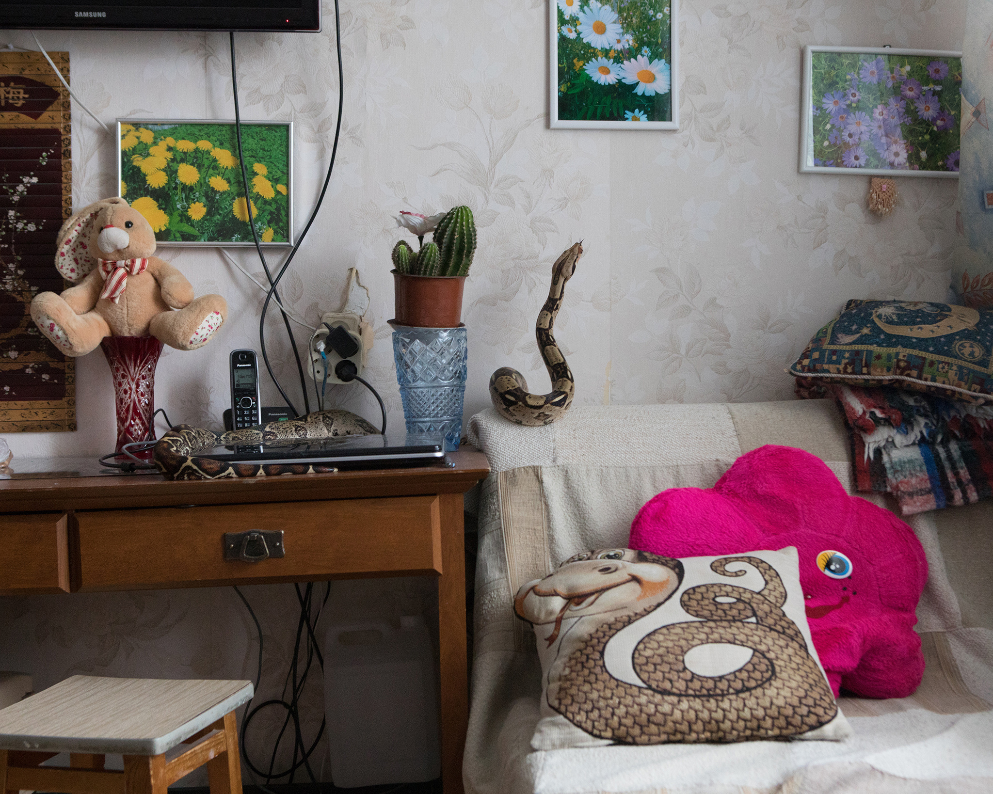 Exotarium. Jana Romanova