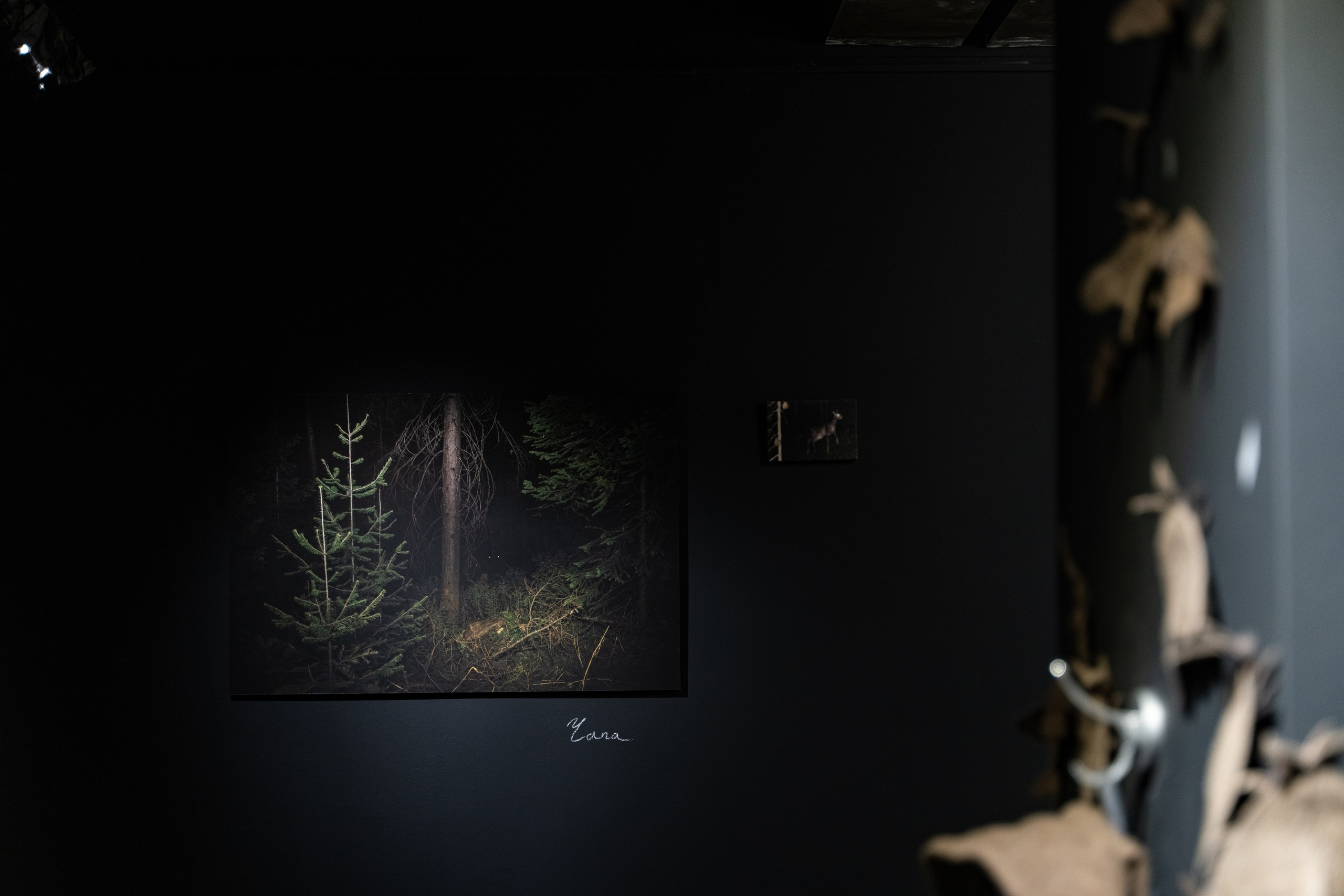 Пристанище. Элина Гусарова