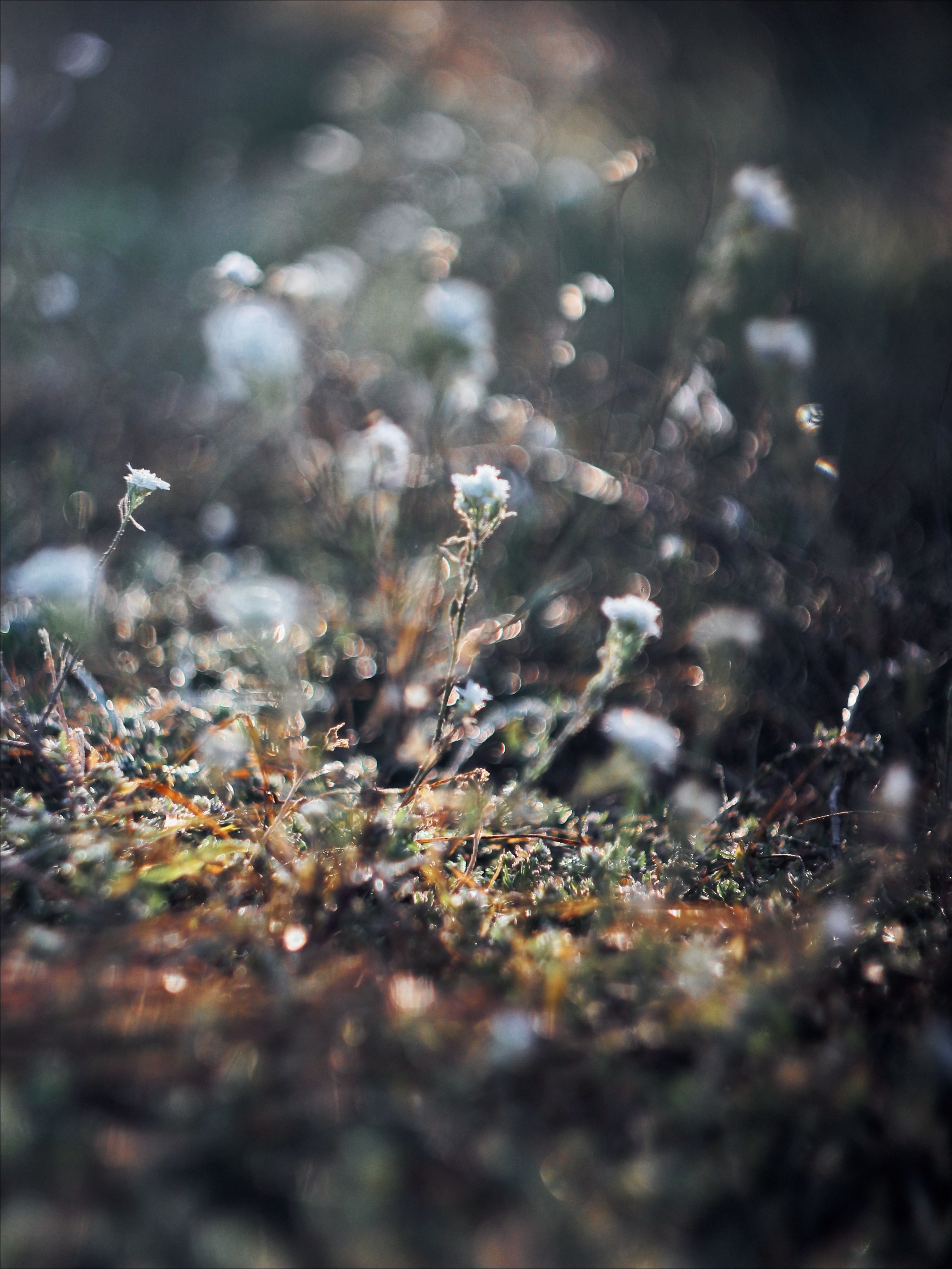 Опустошенность. С любовью, фотохудожник