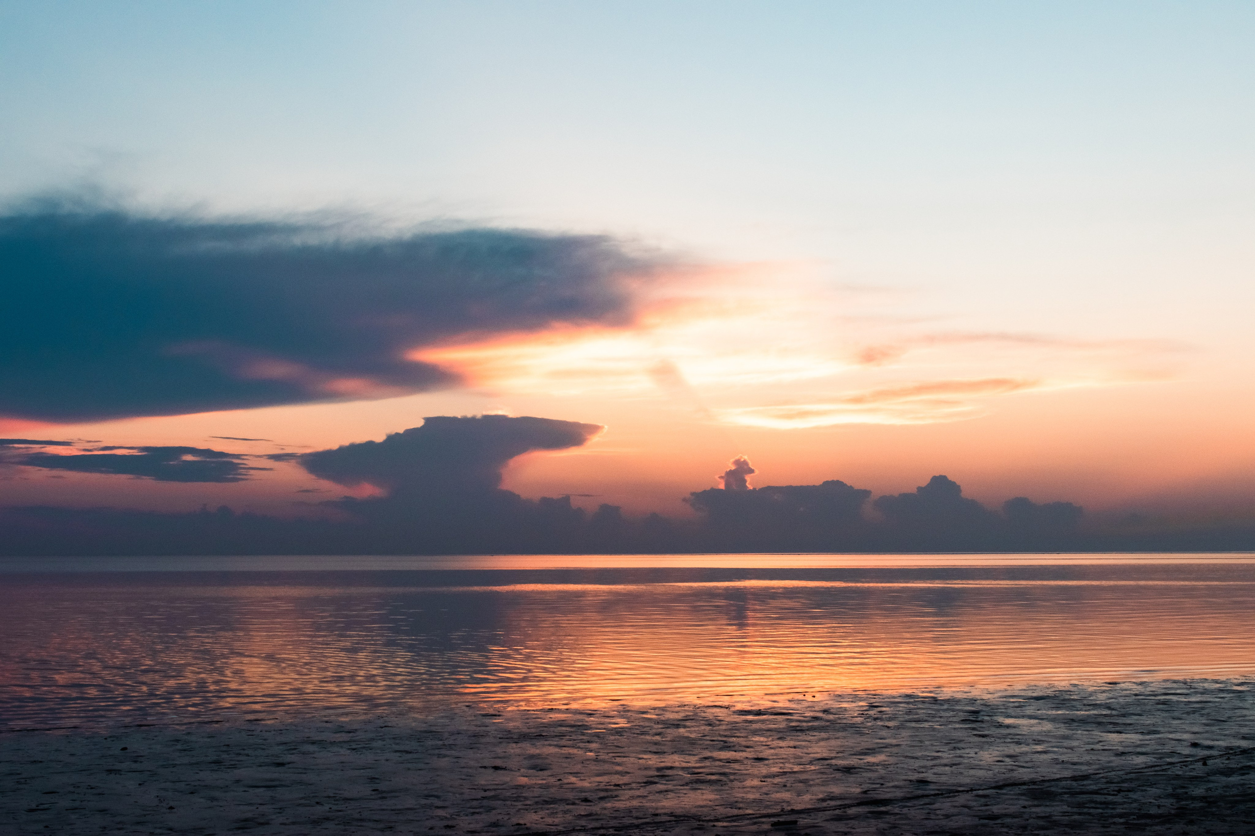 Архангельская область, Двинская губа. Фотограф в Москве Максим Скоробогатов