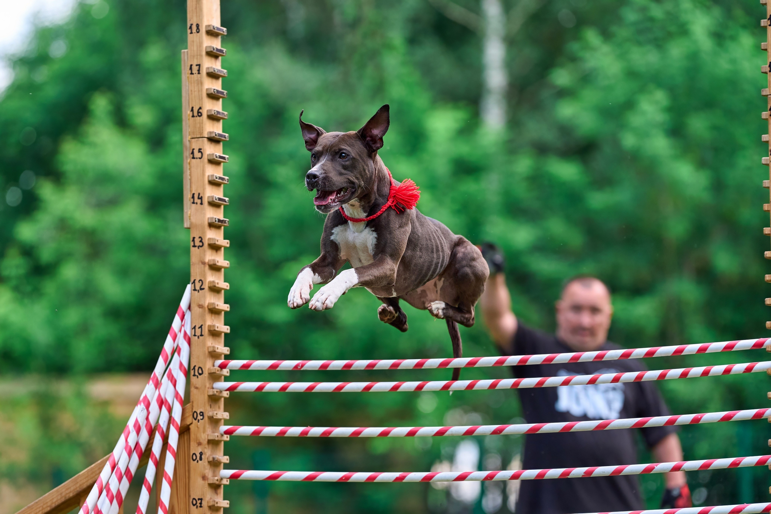 Двухдневные соревнования «Jump'n'Gym Fest — 2024». Фотограф-анималист Михаил Манухин