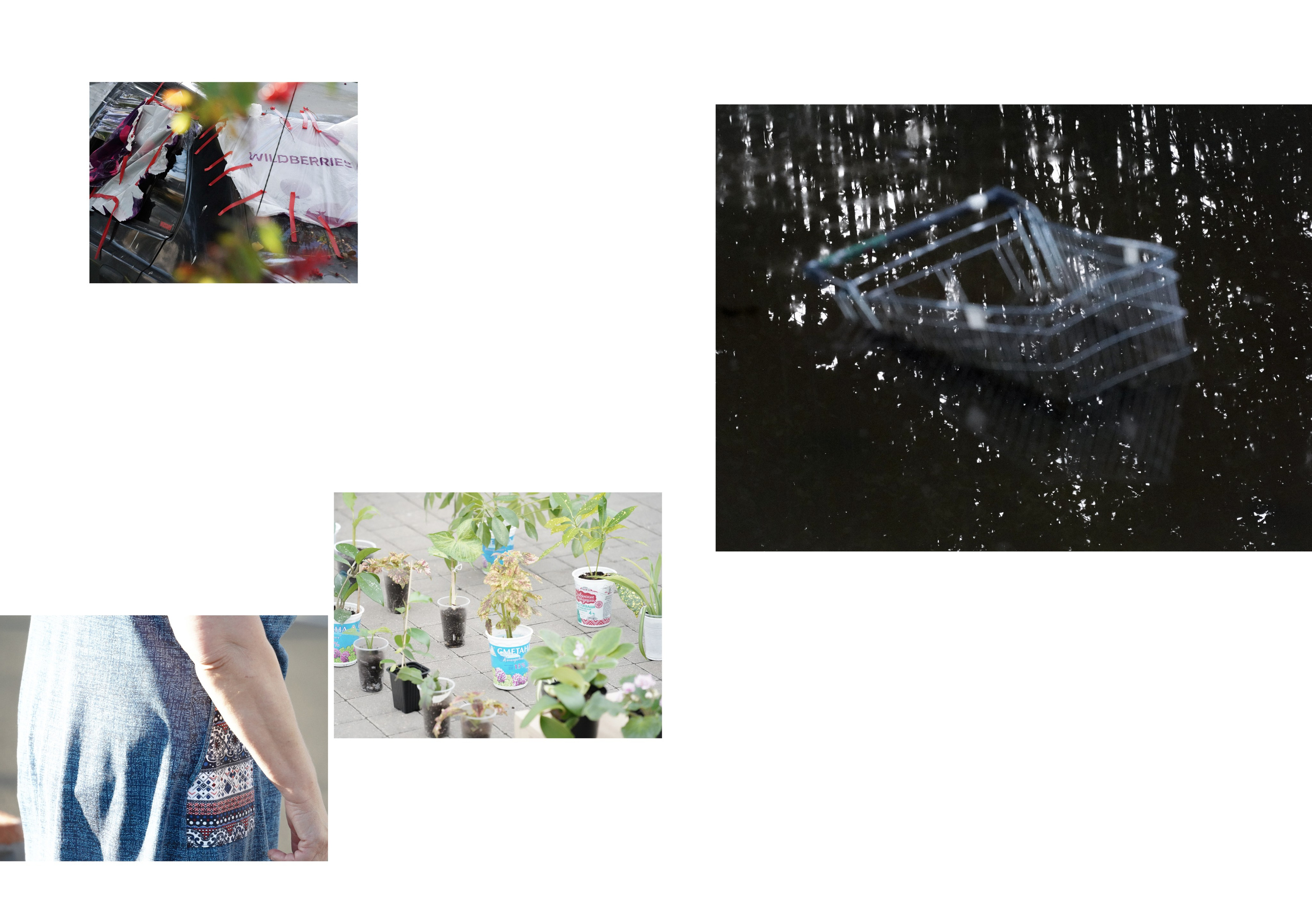 Дабрабыт. 2025— сейчас. Pasha Borisenko