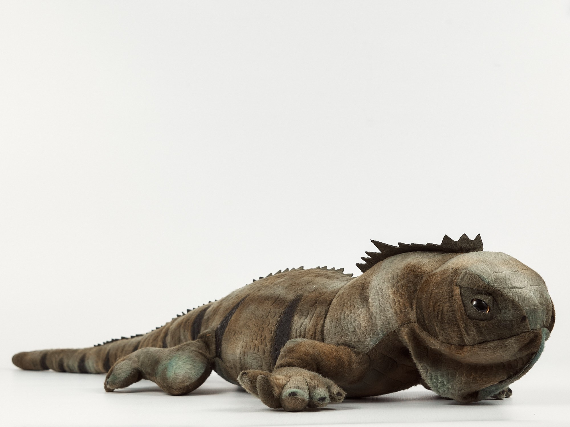 Moscow Zoo. Фотограф видеограф в Москве