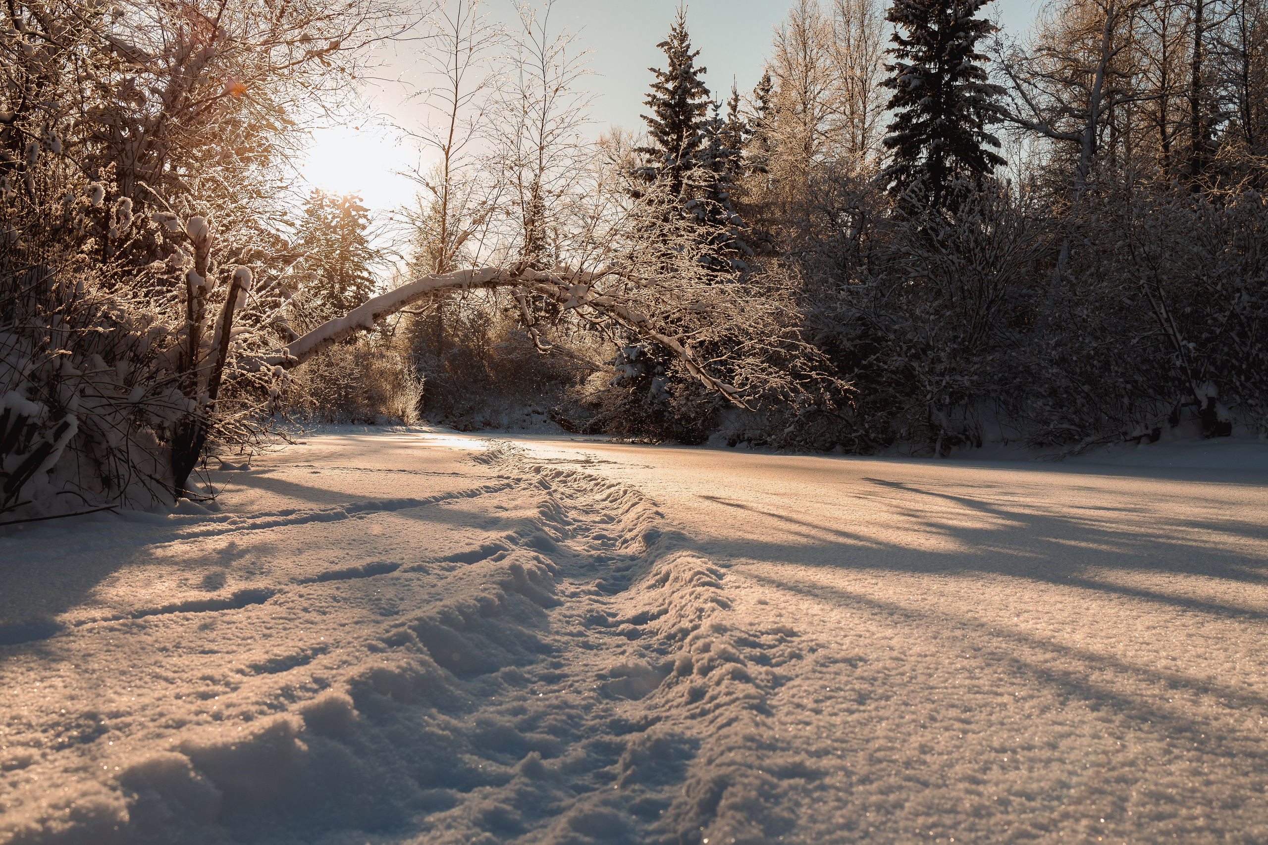 Зима 2023, -30. Семейный и детский фотограф в Железногорске Саламахо Ольга