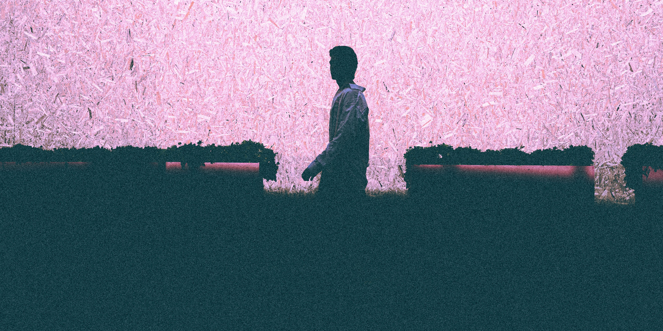 Фотограф в Москве