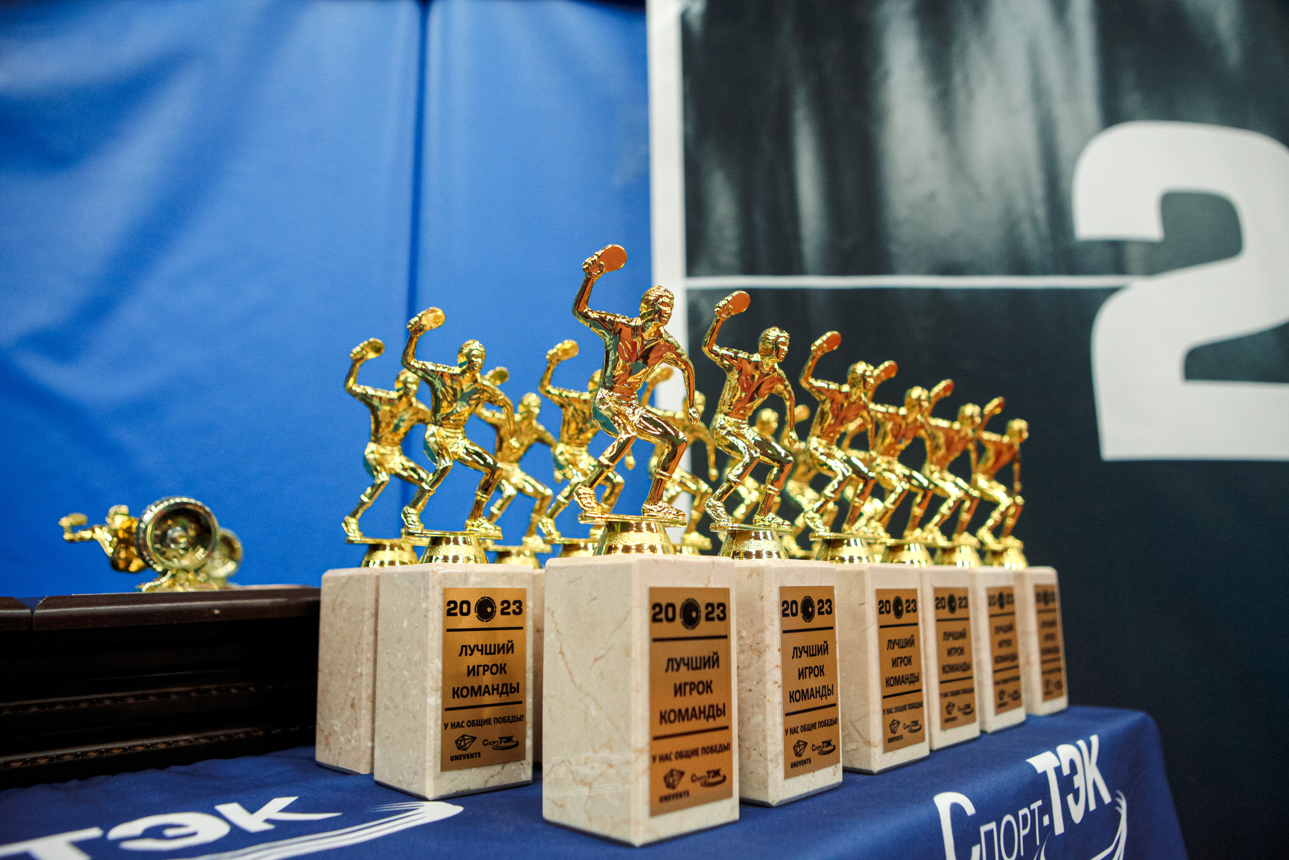 Чемпионат по настольному теннису. Репортажный, семейный, свадебный, портретный фотограф